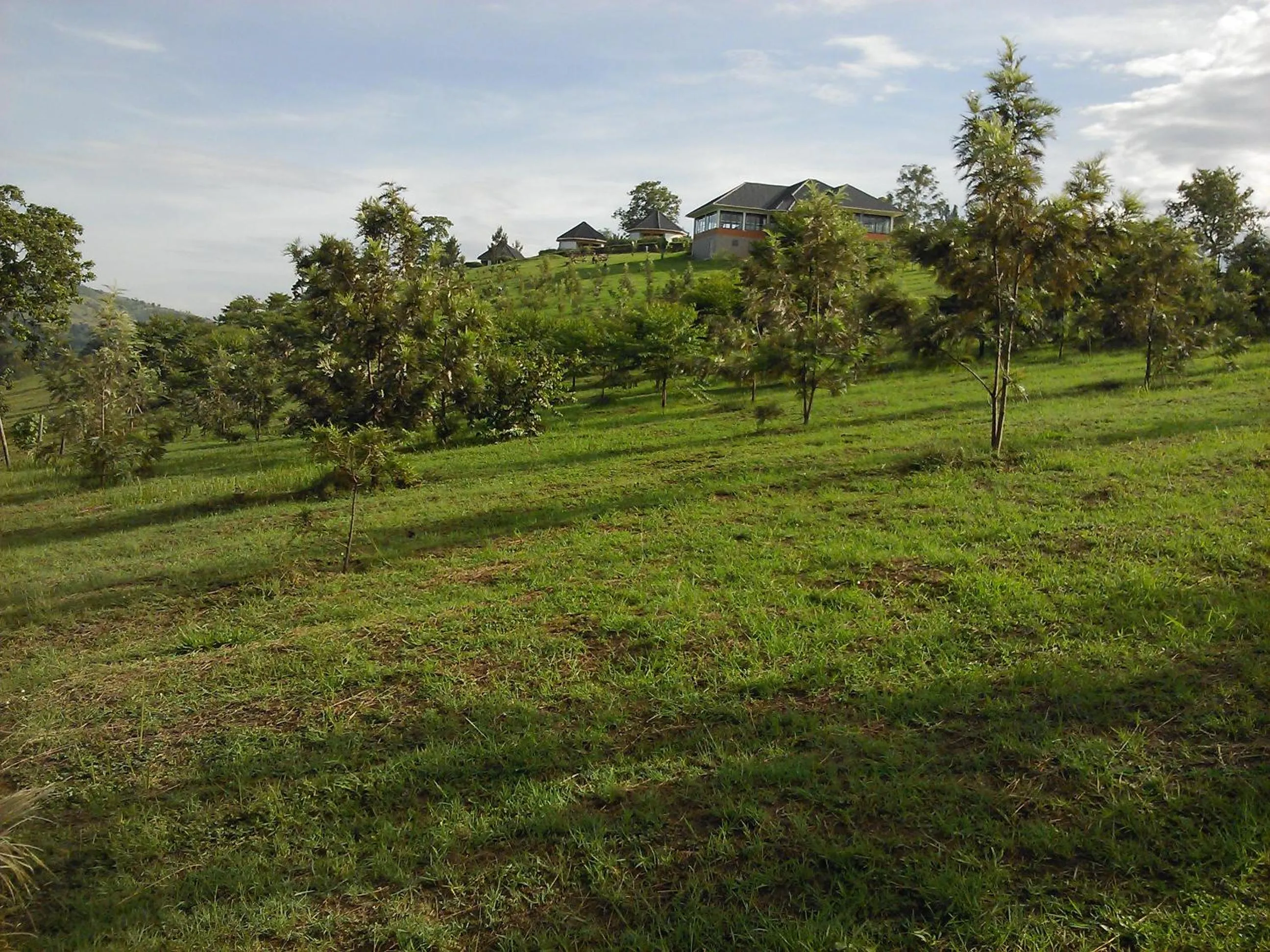 Hiking in The Crested Crane Bwindi Hotel