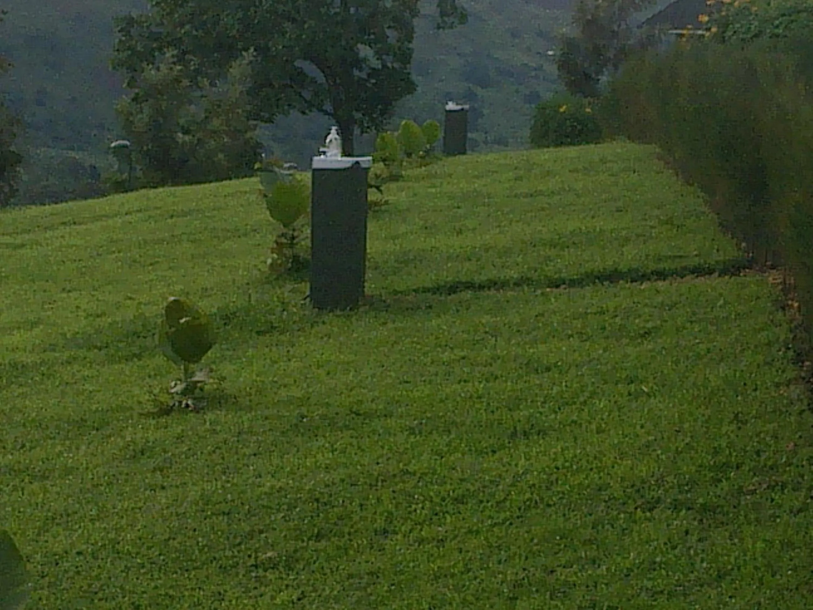 Garden in The Crested Crane Bwindi Hotel