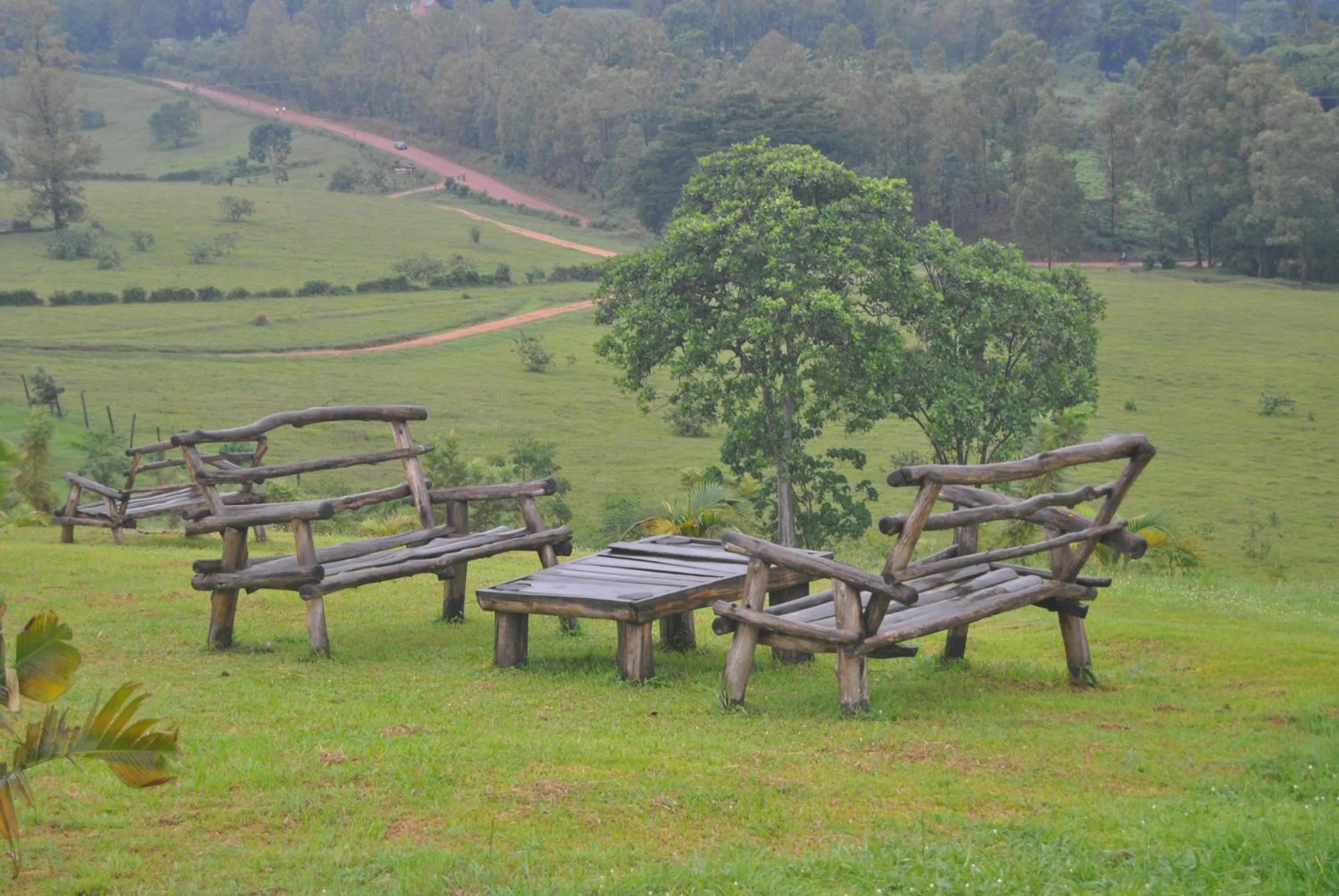 On site in The Crested Crane Bwindi Hotel
