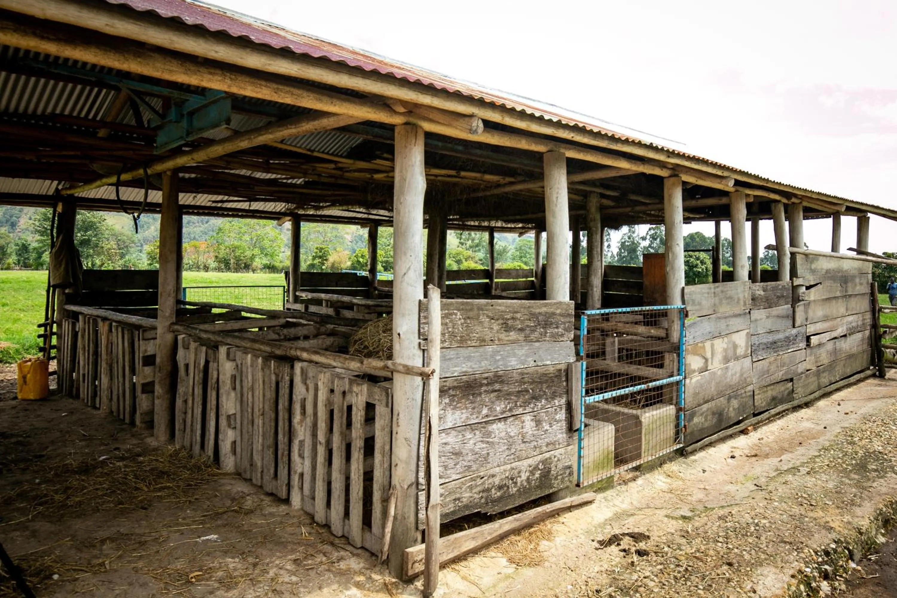 Property building in The Crested Crane Bwindi Hotel