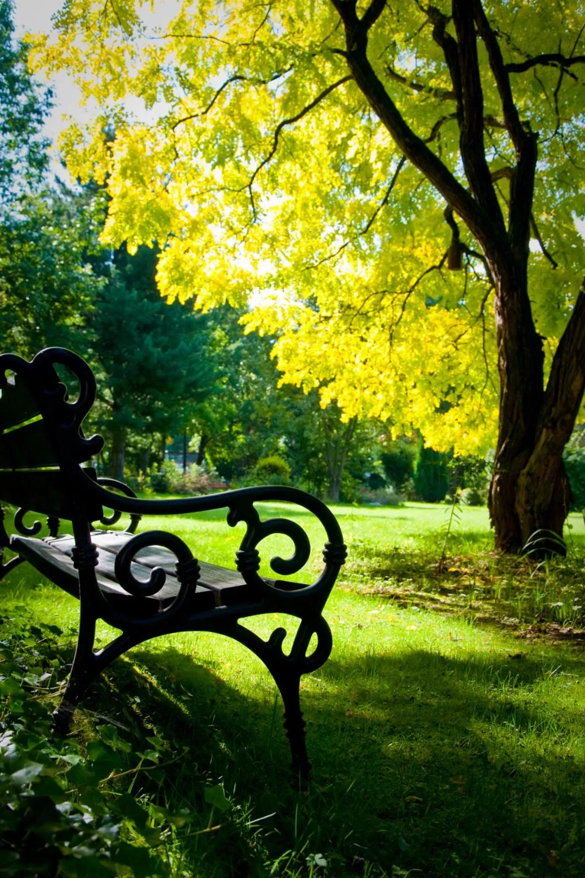 Garden in Haus Schlesien