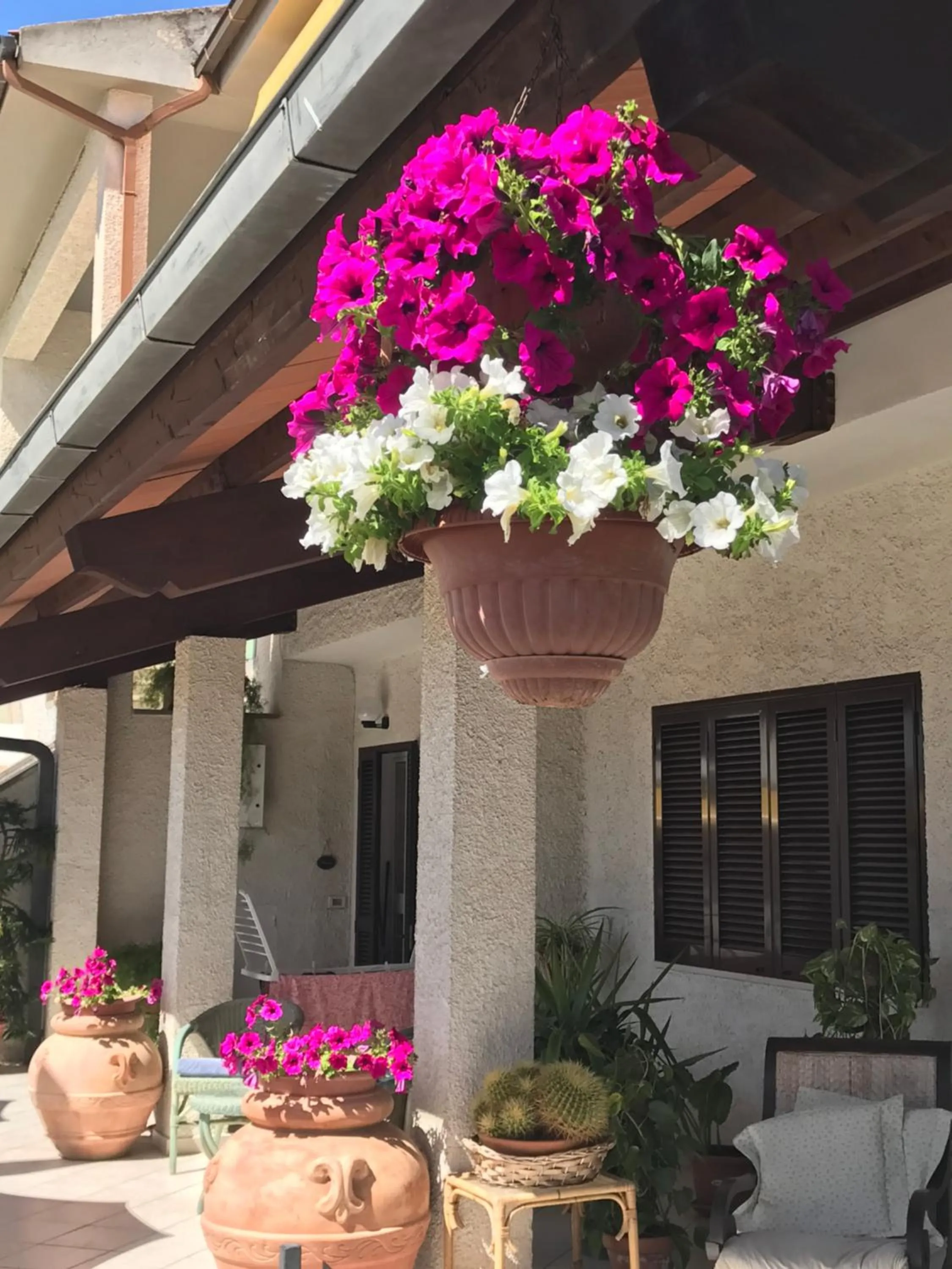 Restaurant/Places to Eat in Albergo Rispescia