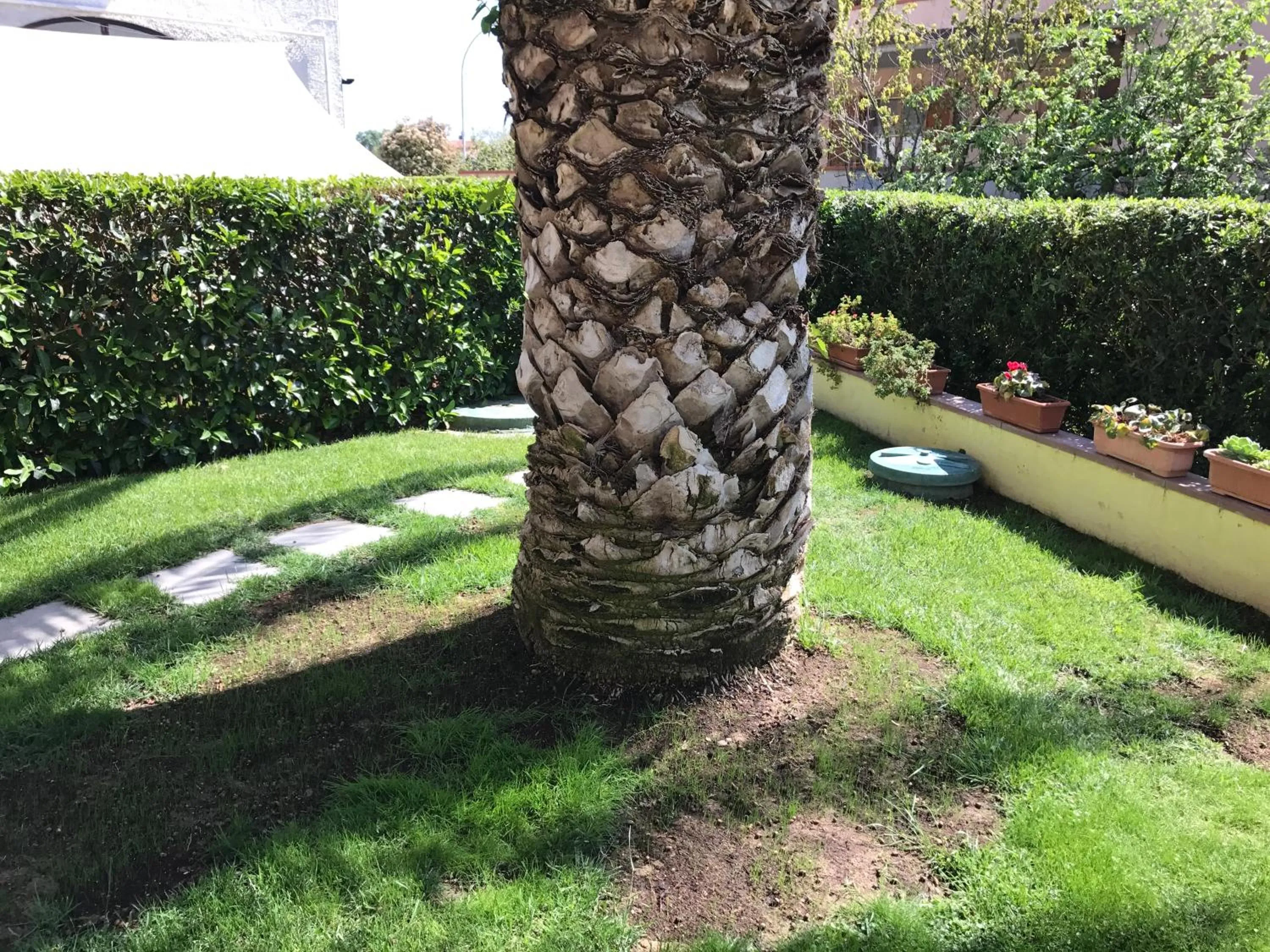 Garden in Albergo Rispescia