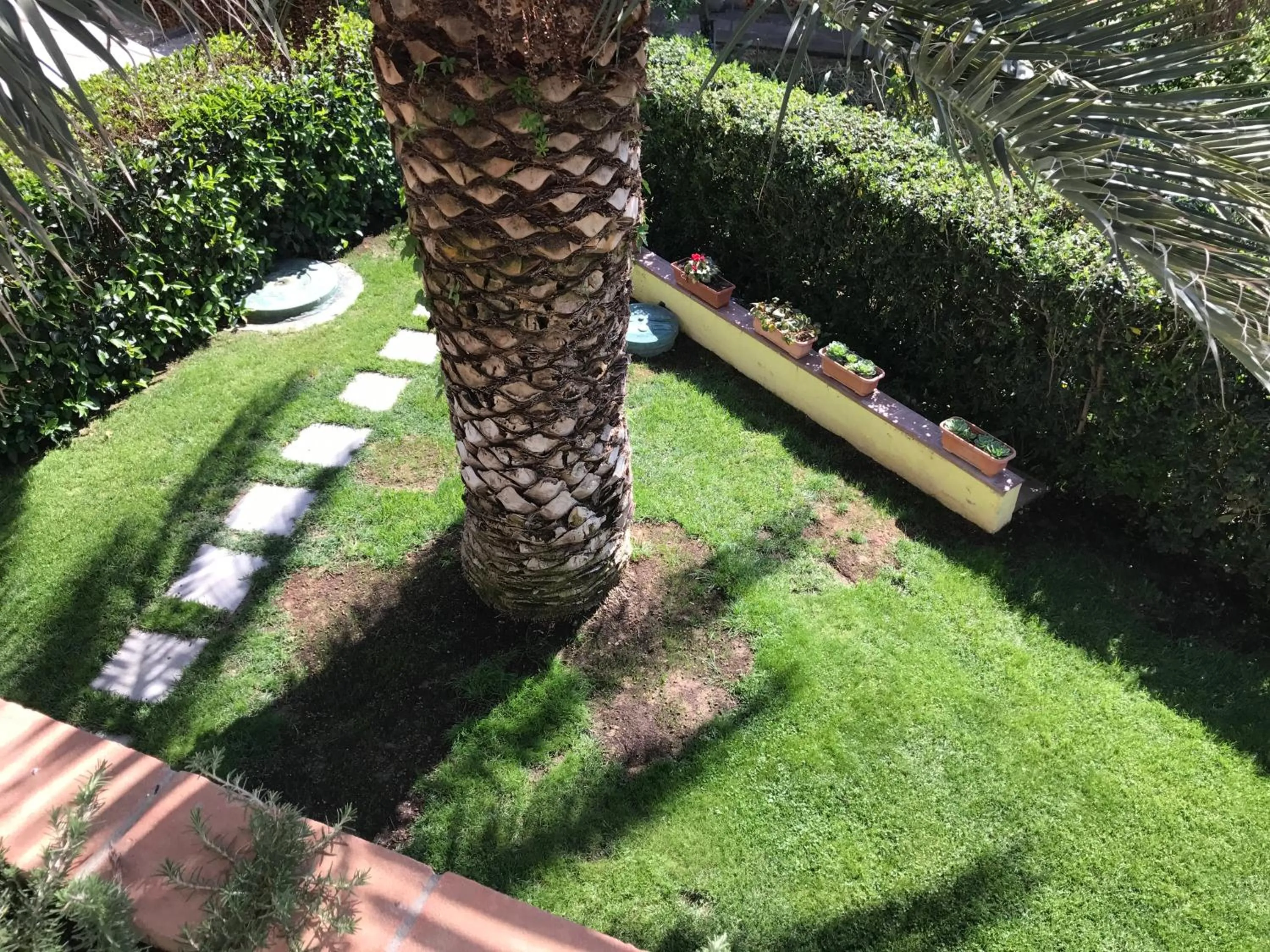 Garden View in Albergo Rispescia