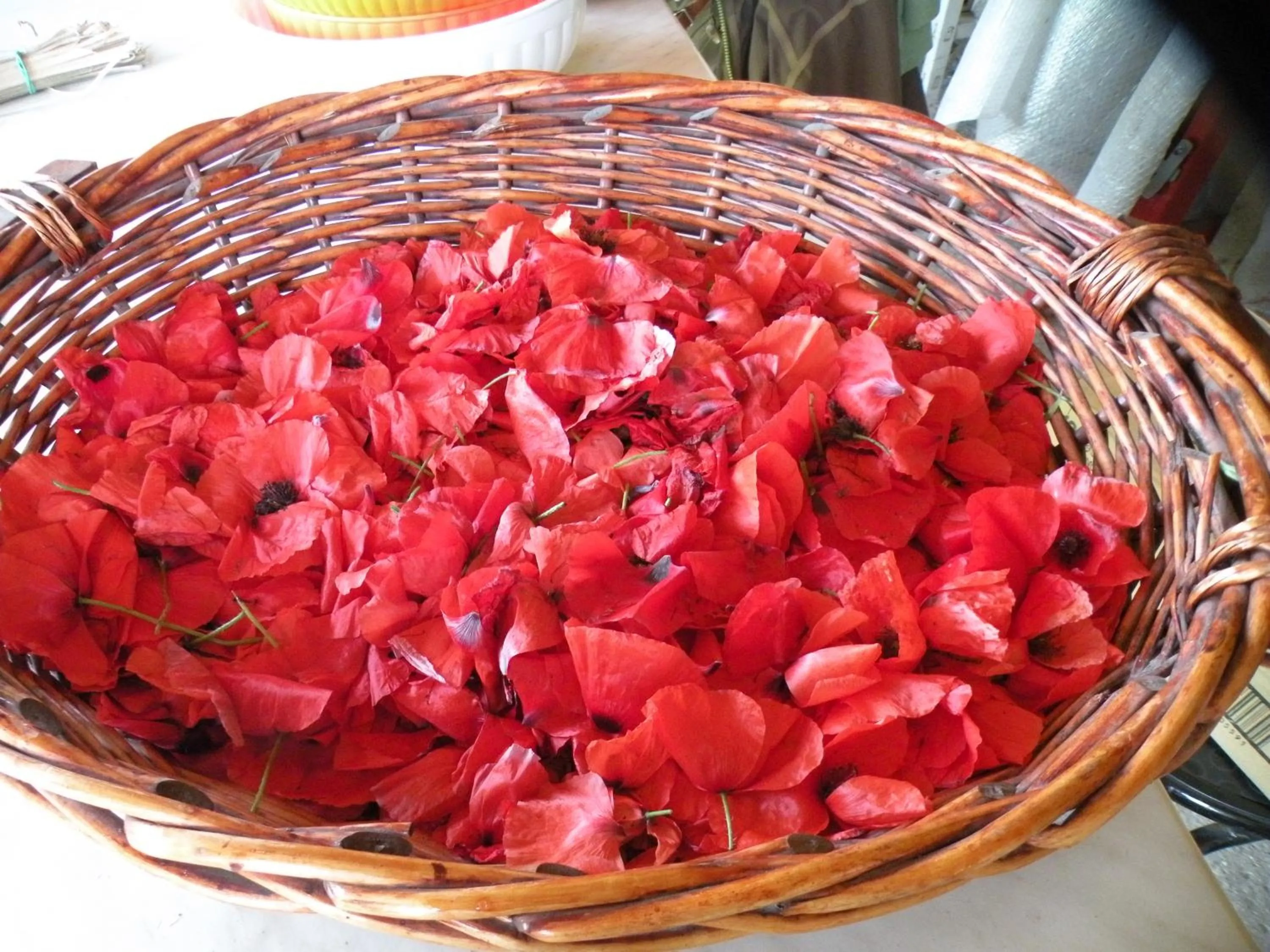 Activities in Country House Erba Regina