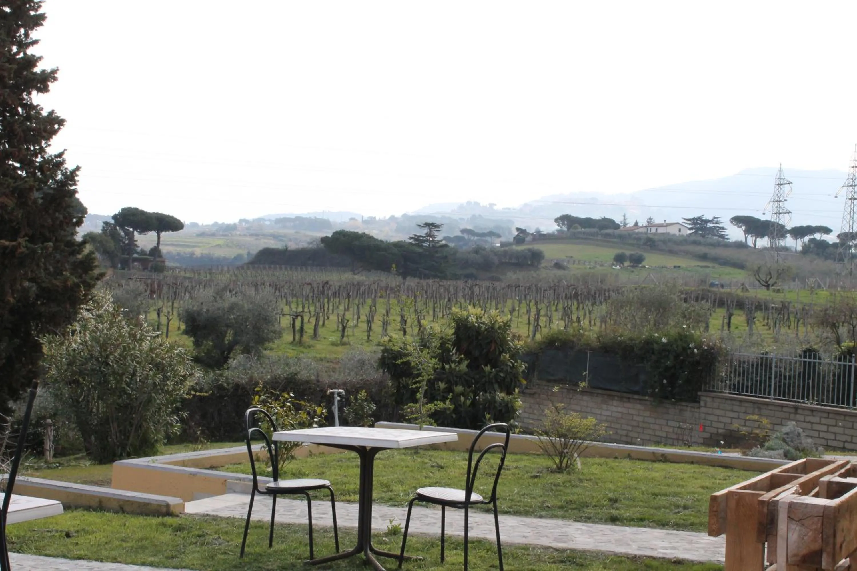 Garden view in Country House Erba Regina