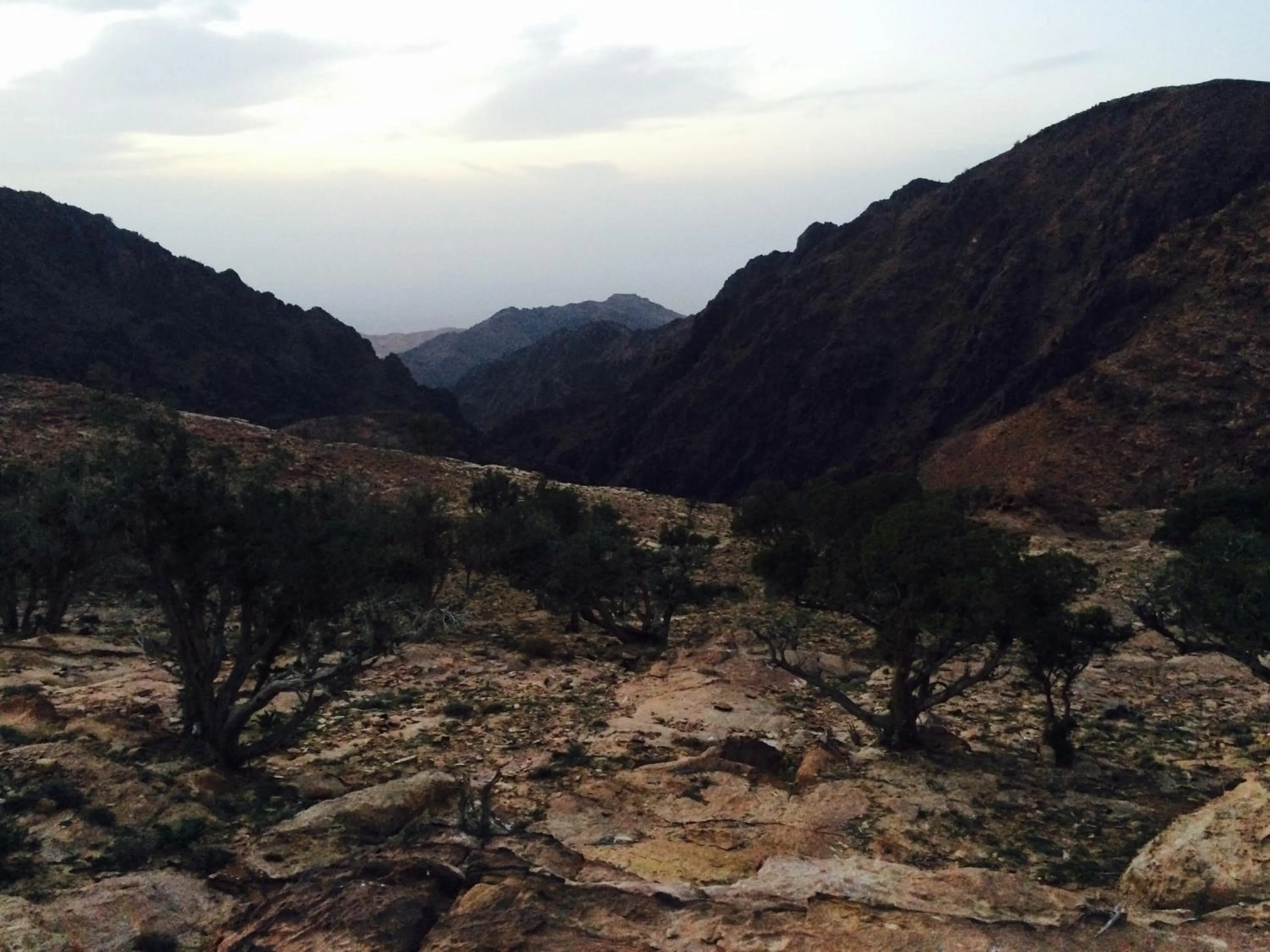 Activities in My Home Petra