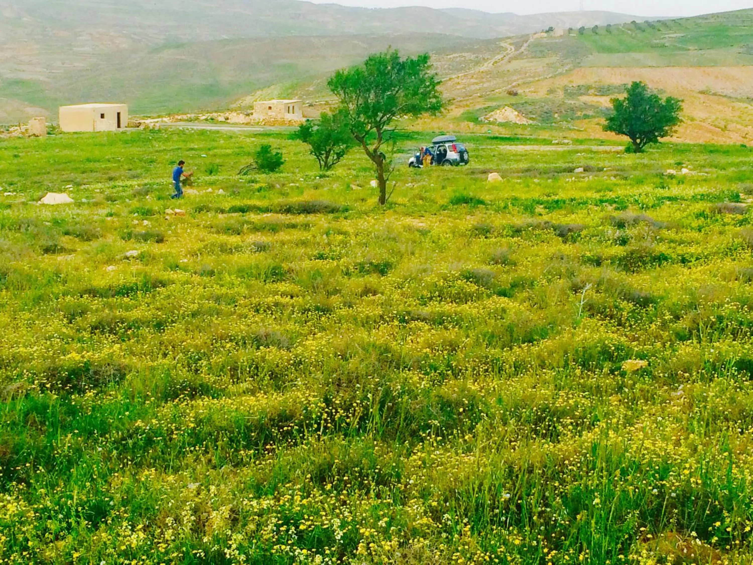 View (from property/room) in My Home Petra