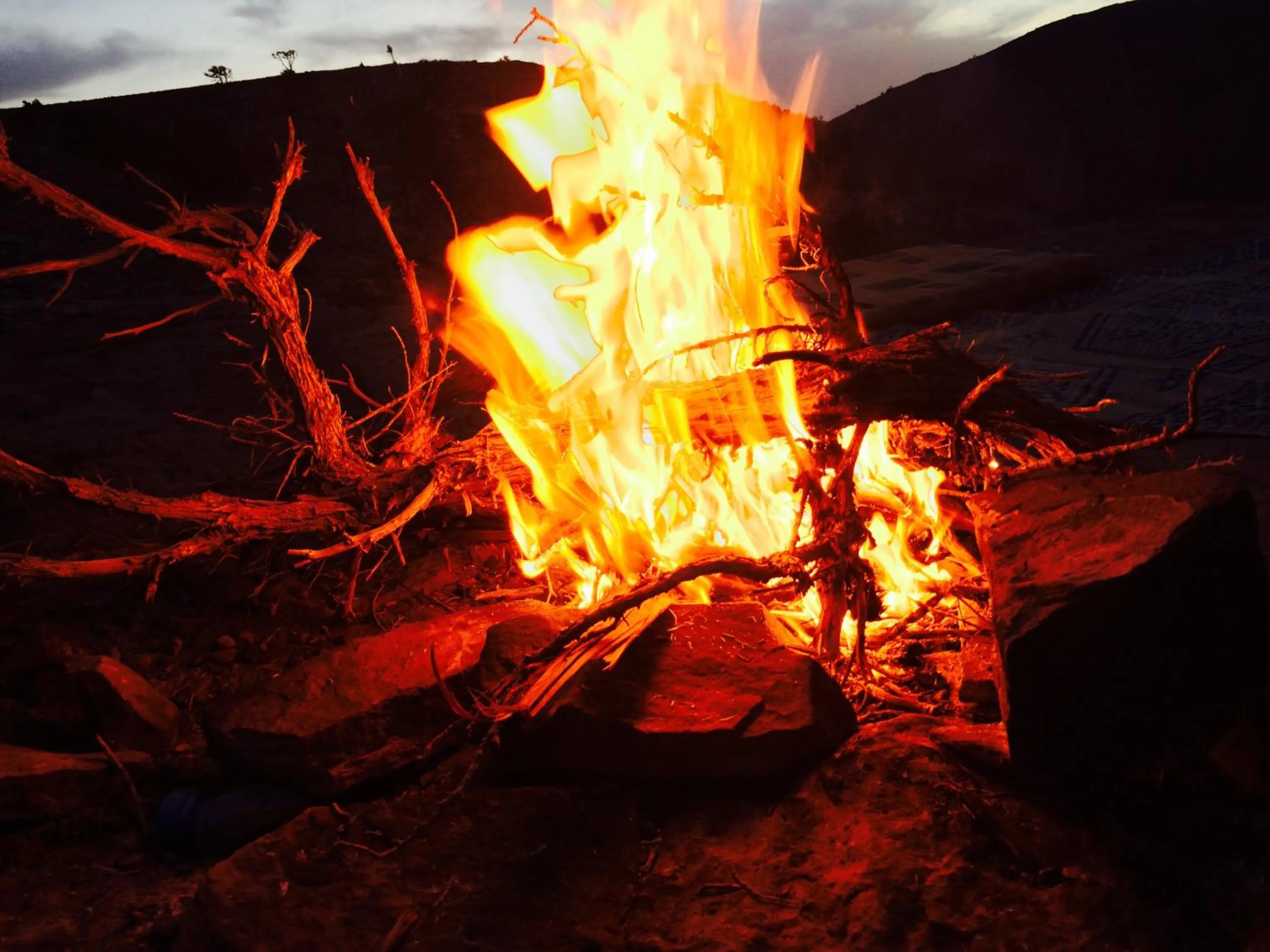 Other in My Home Petra