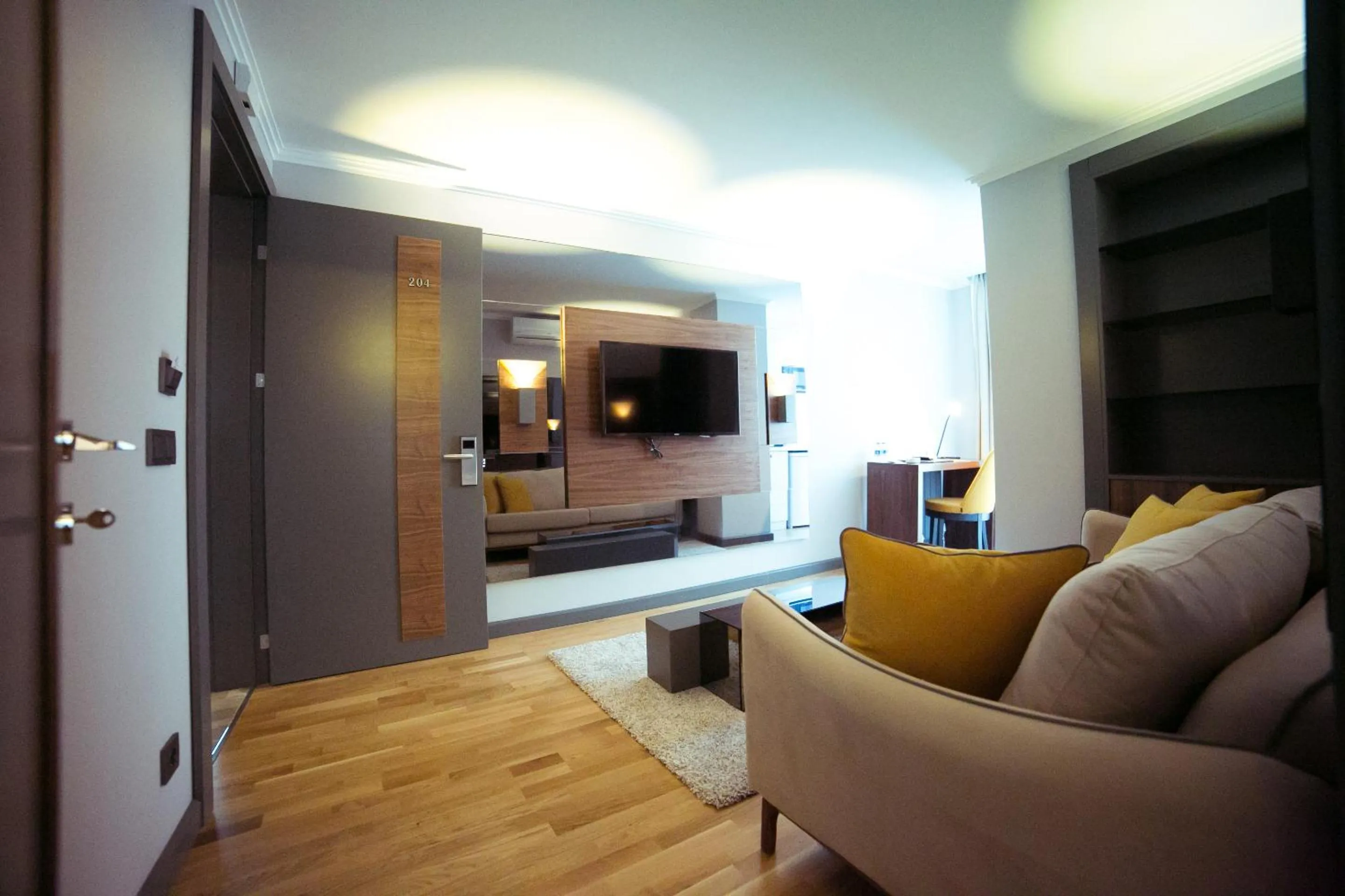 TV and multimedia in Ankacity Suit Flat