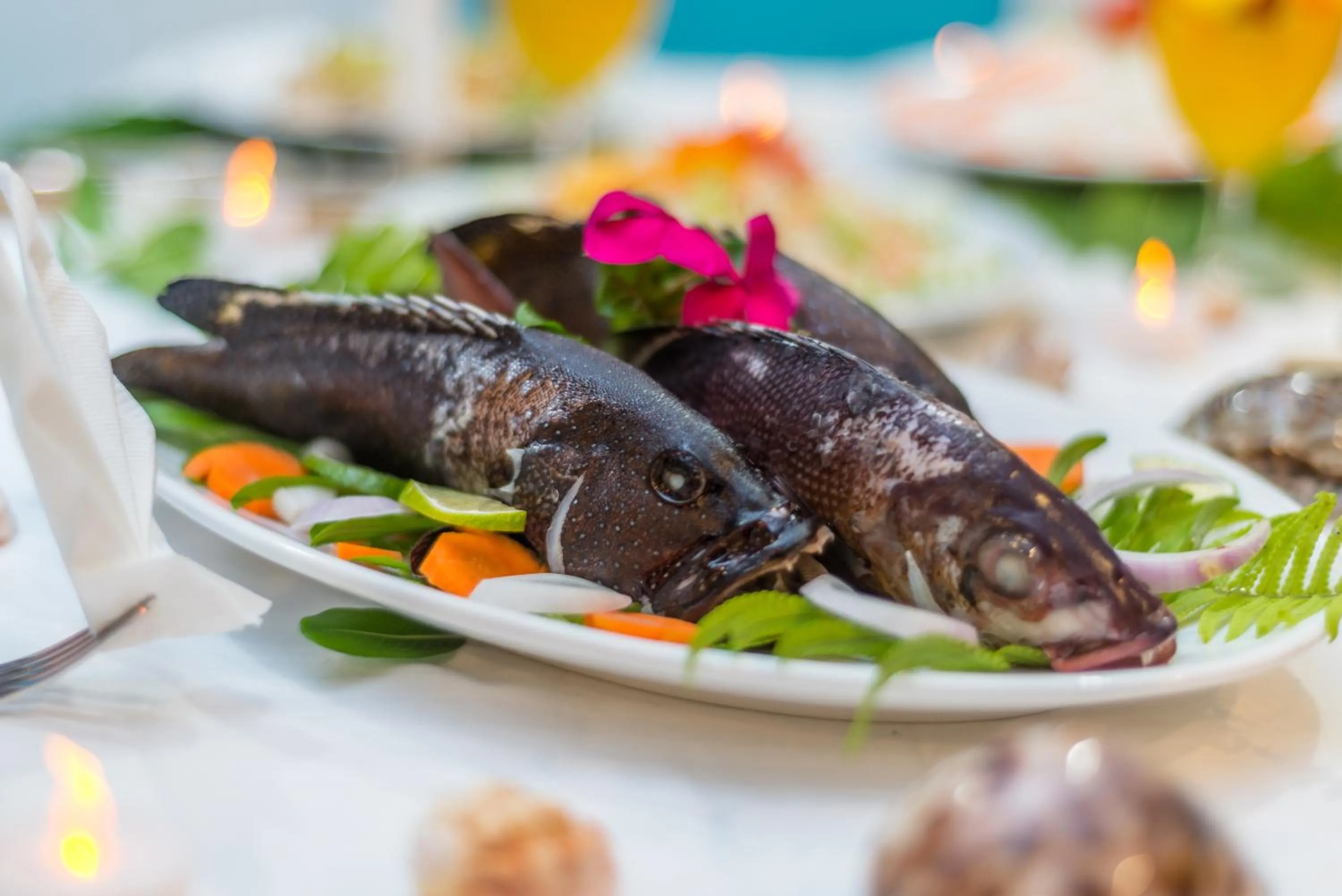 Restaurant/places to eat in Kinan Retreat