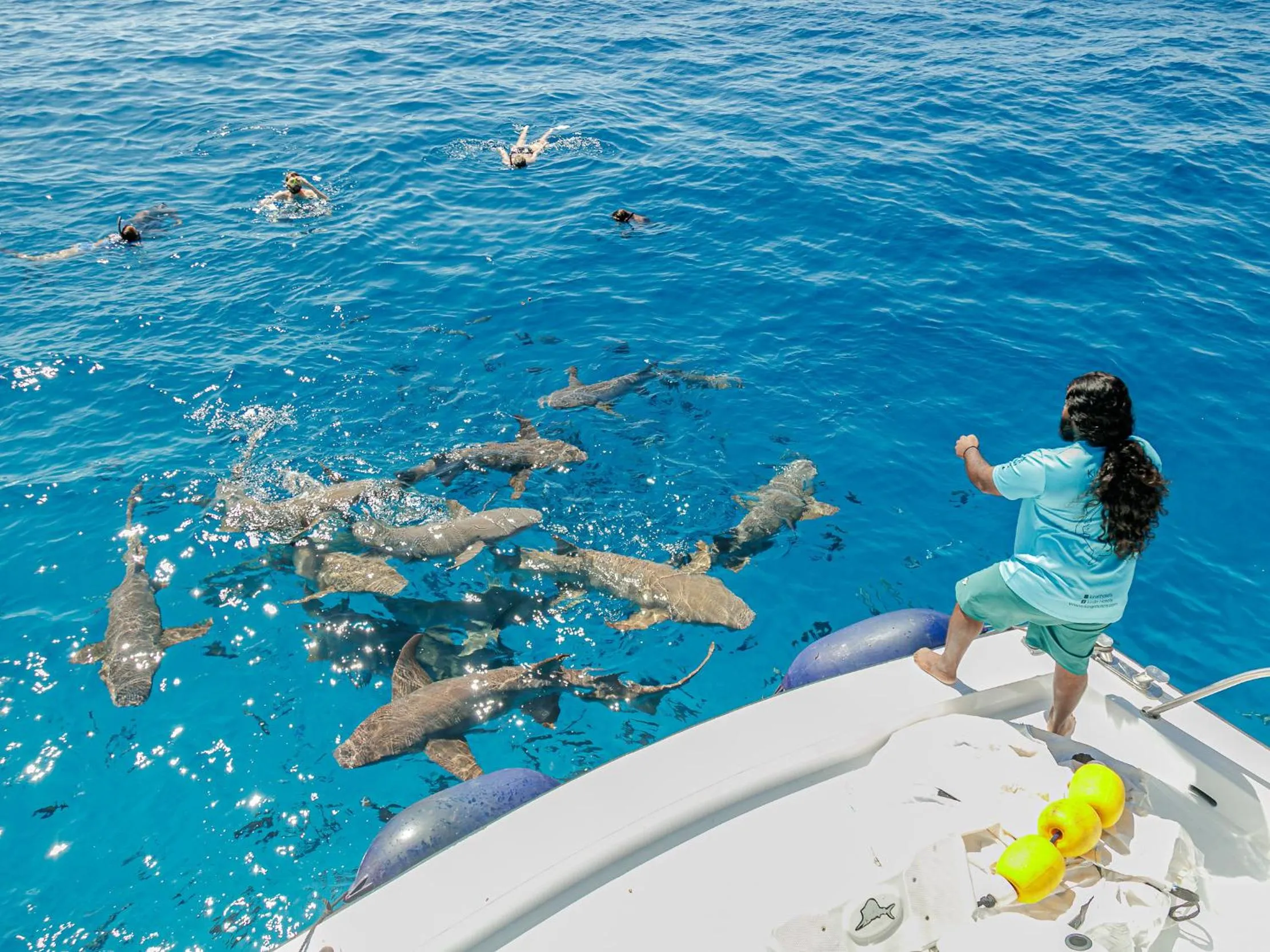 Snorkeling in Kinan Retreat