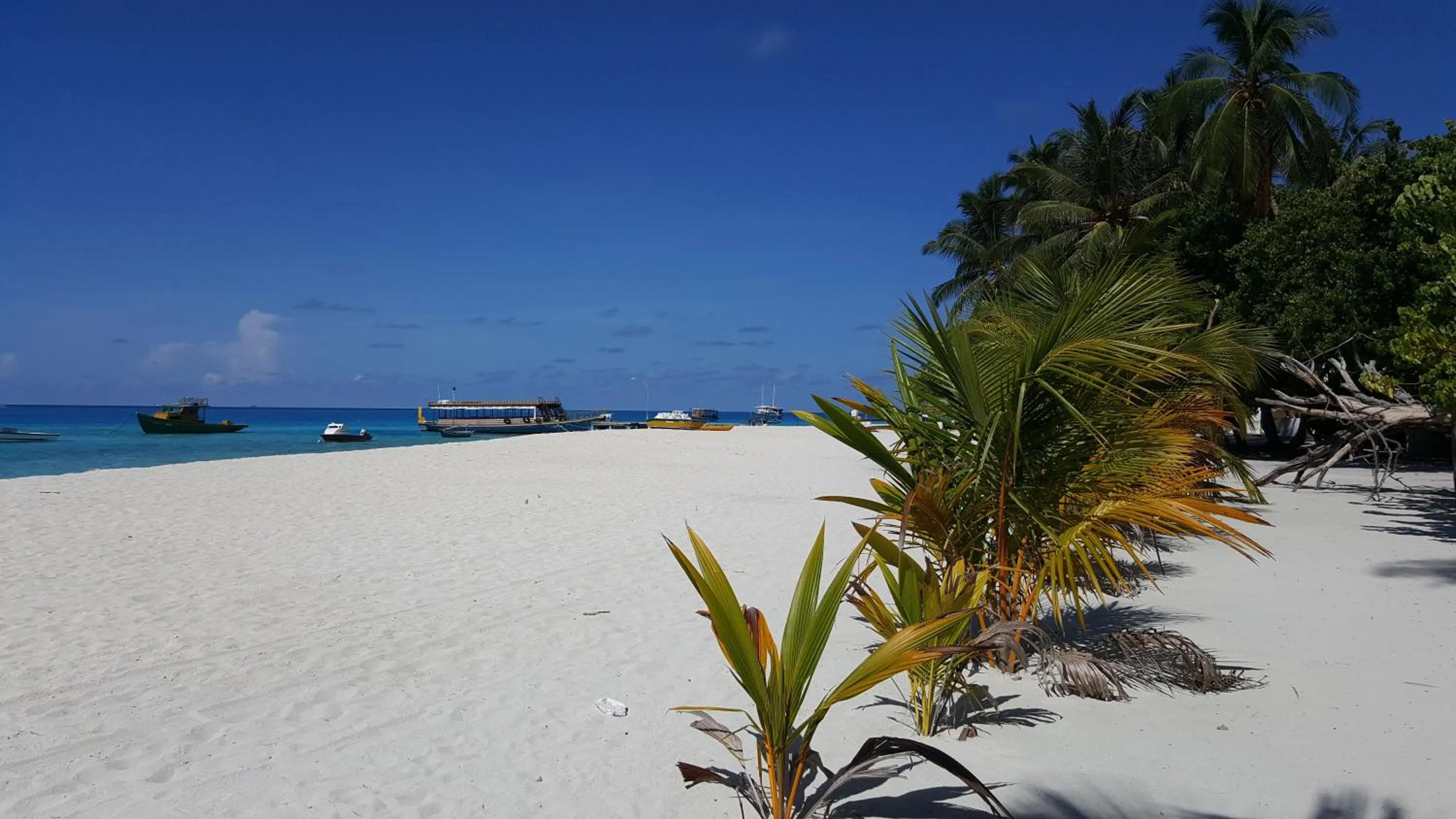 Natural landscape in Kinan Retreat