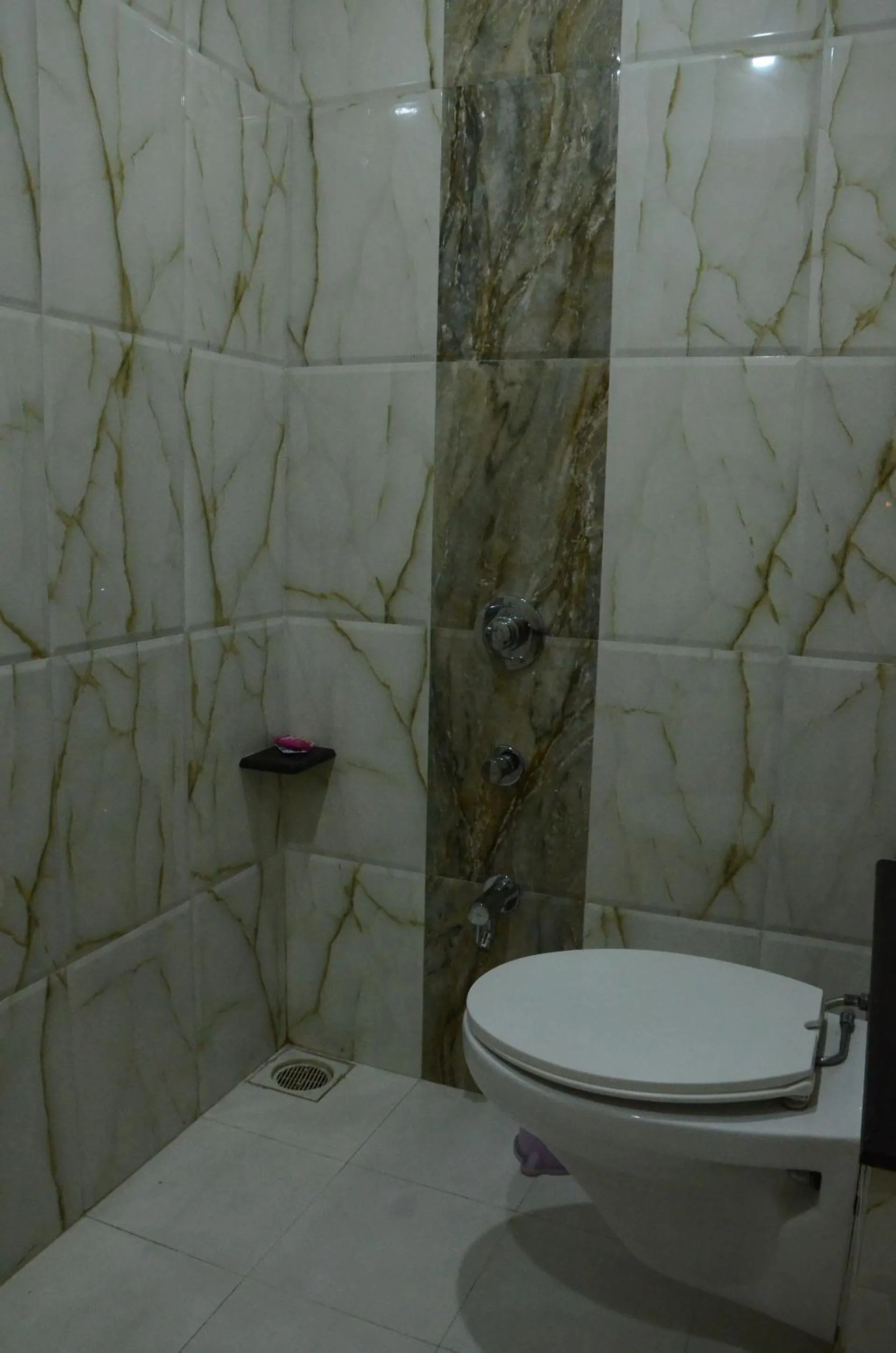 Bathroom in Hotel Sach Regency