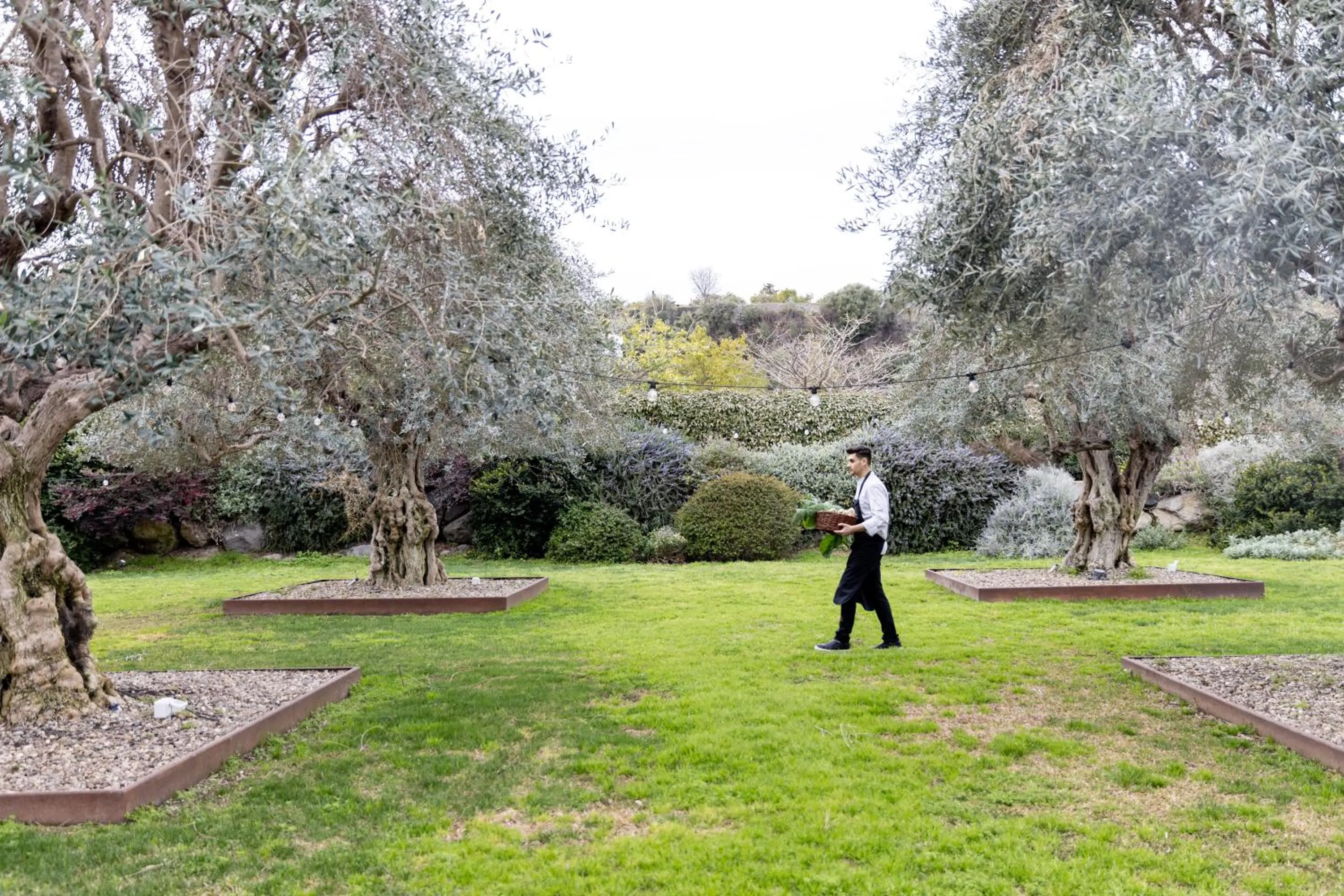 Natural landscape in Donna Carmela Resort & Lodges