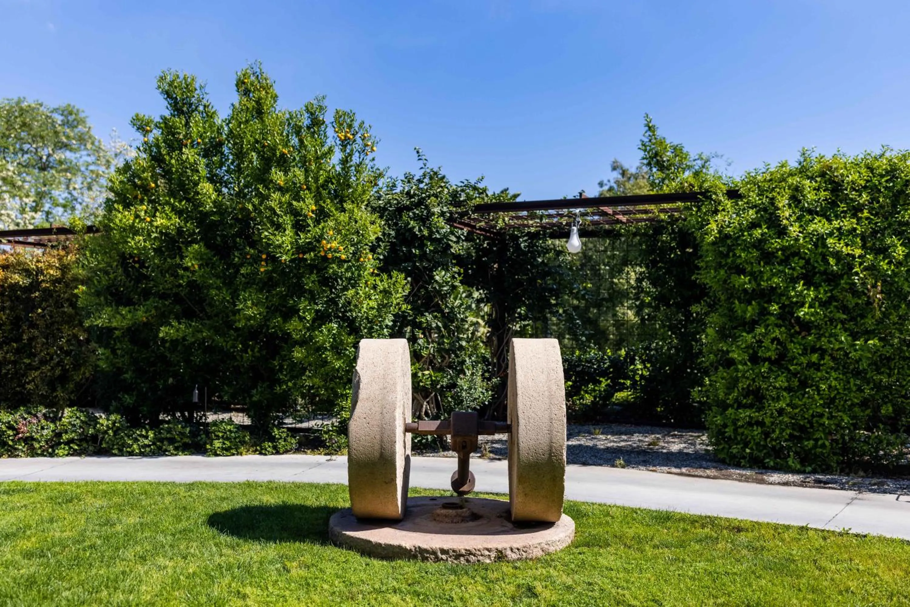 Garden view in Donna Carmela Resort & Lodges