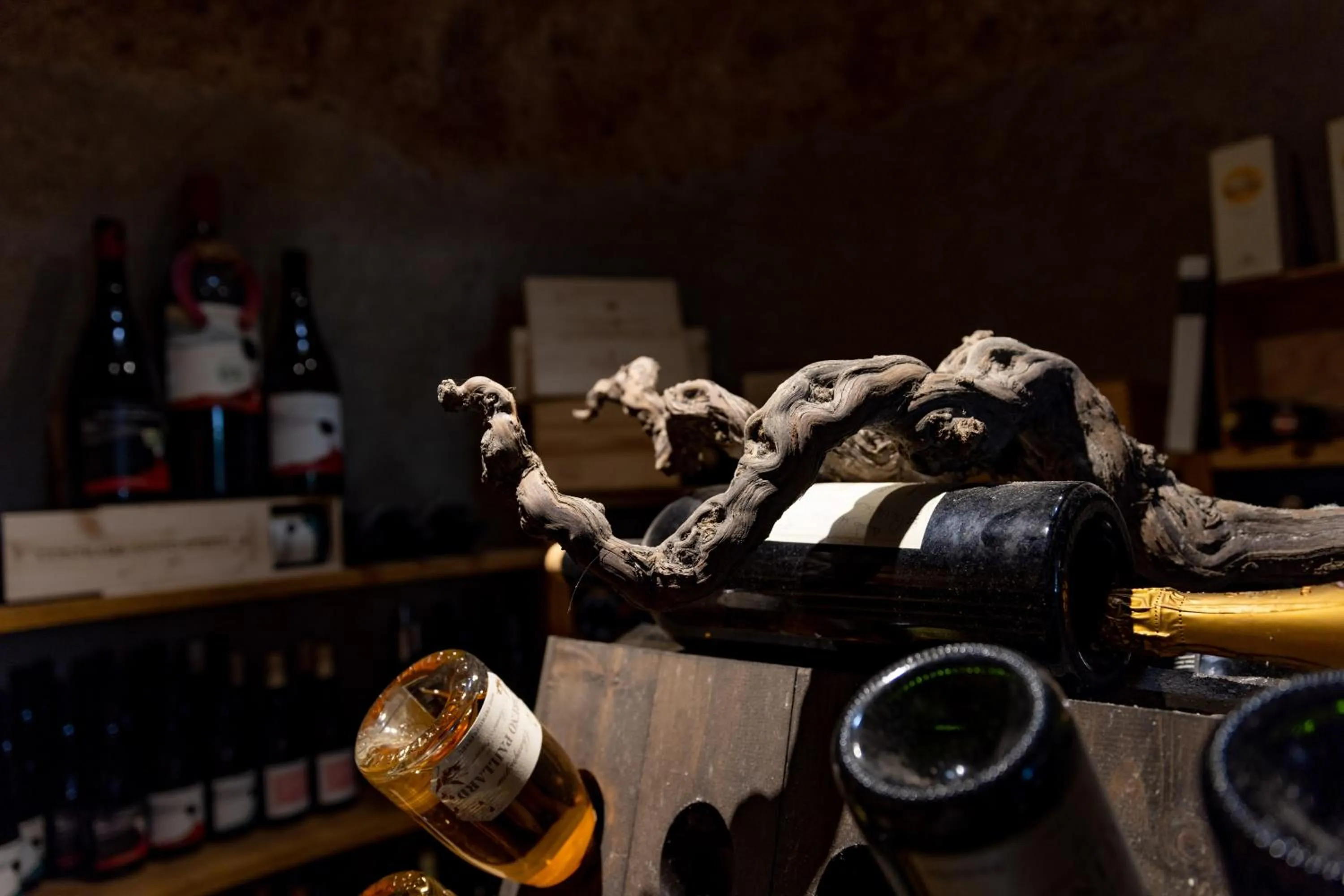 Lounge or bar in Donna Carmela Resort & Lodges