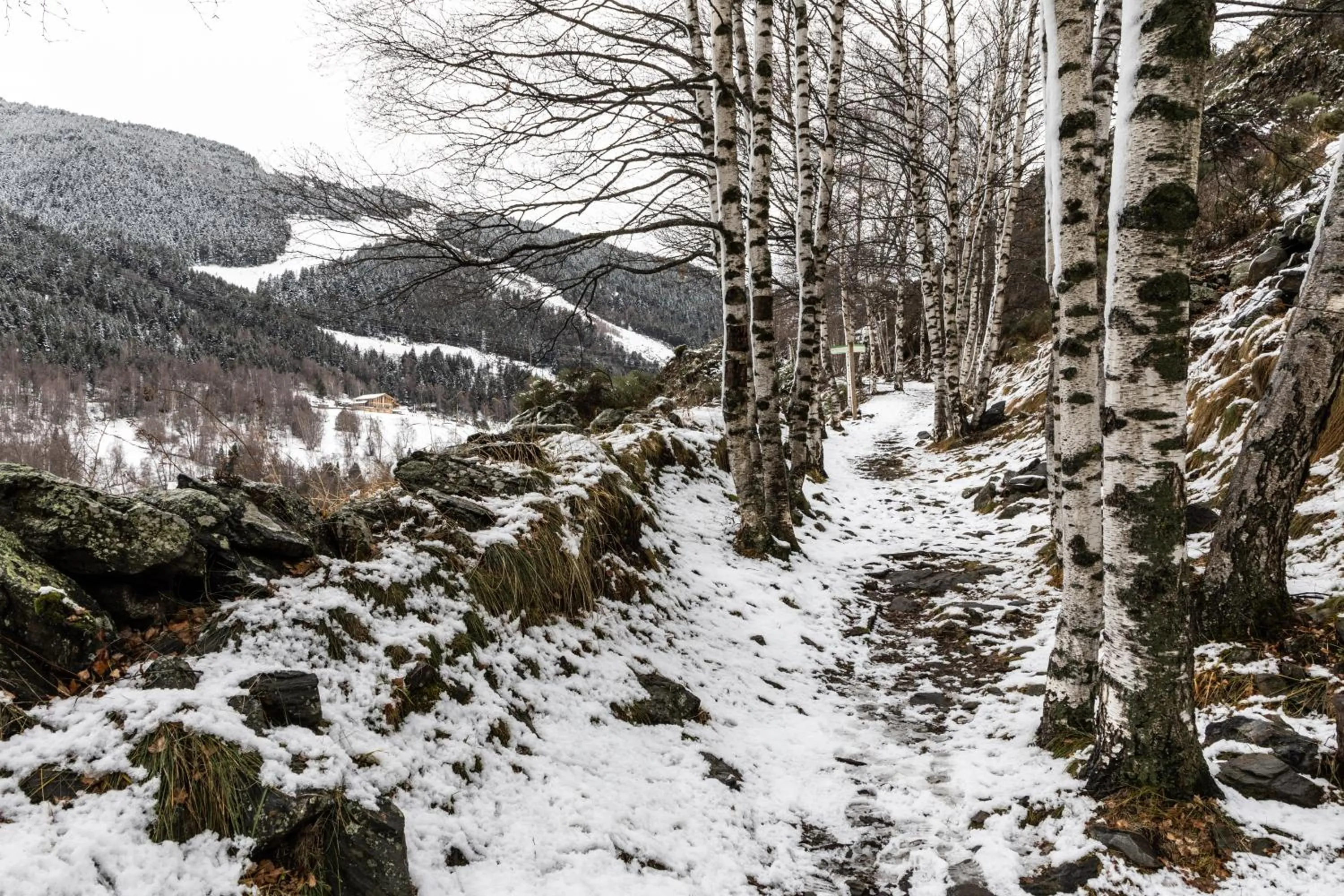 Hotel Euroski Mountain Resort & Spa