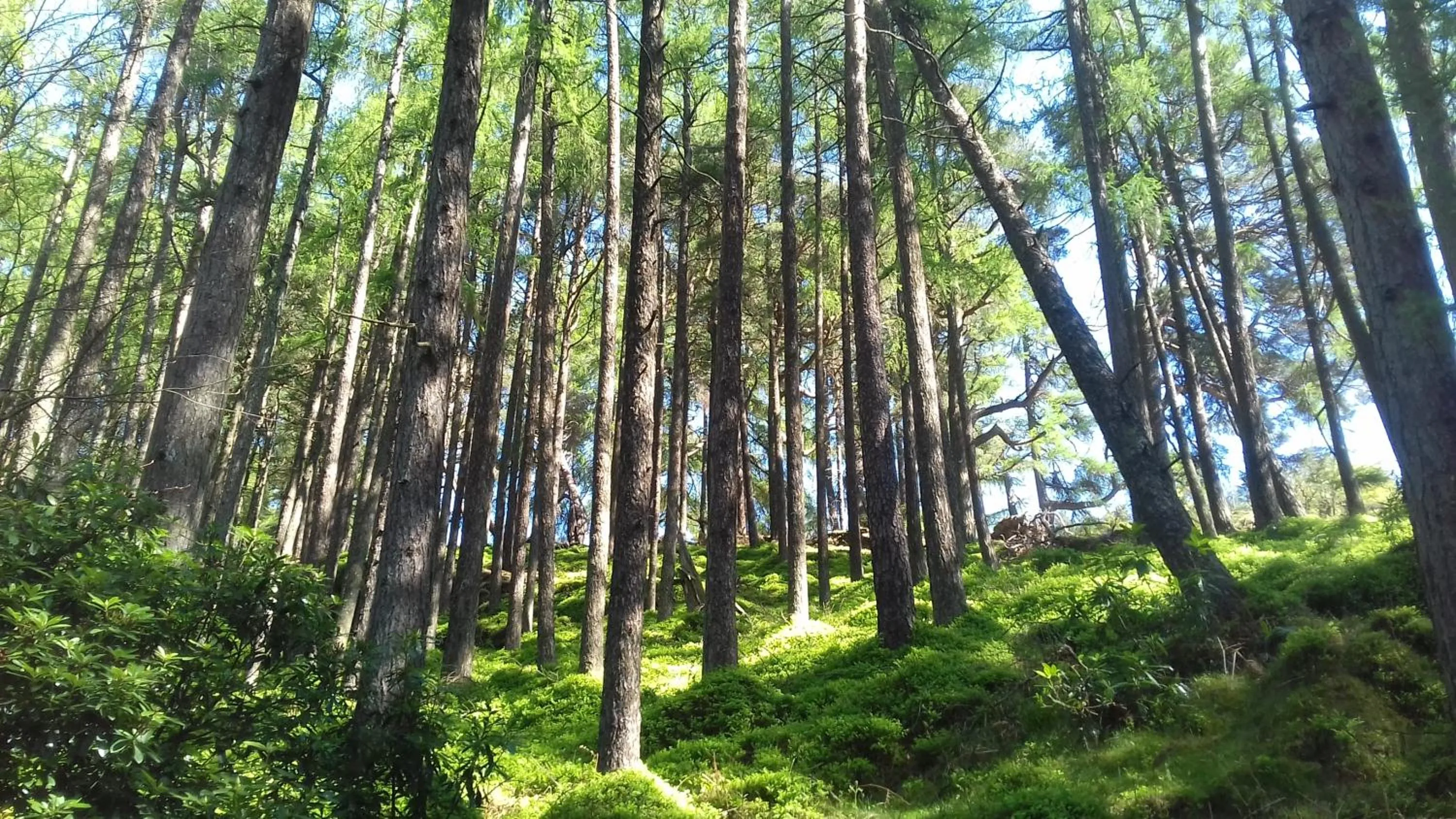 Natural landscape in Lus Mor