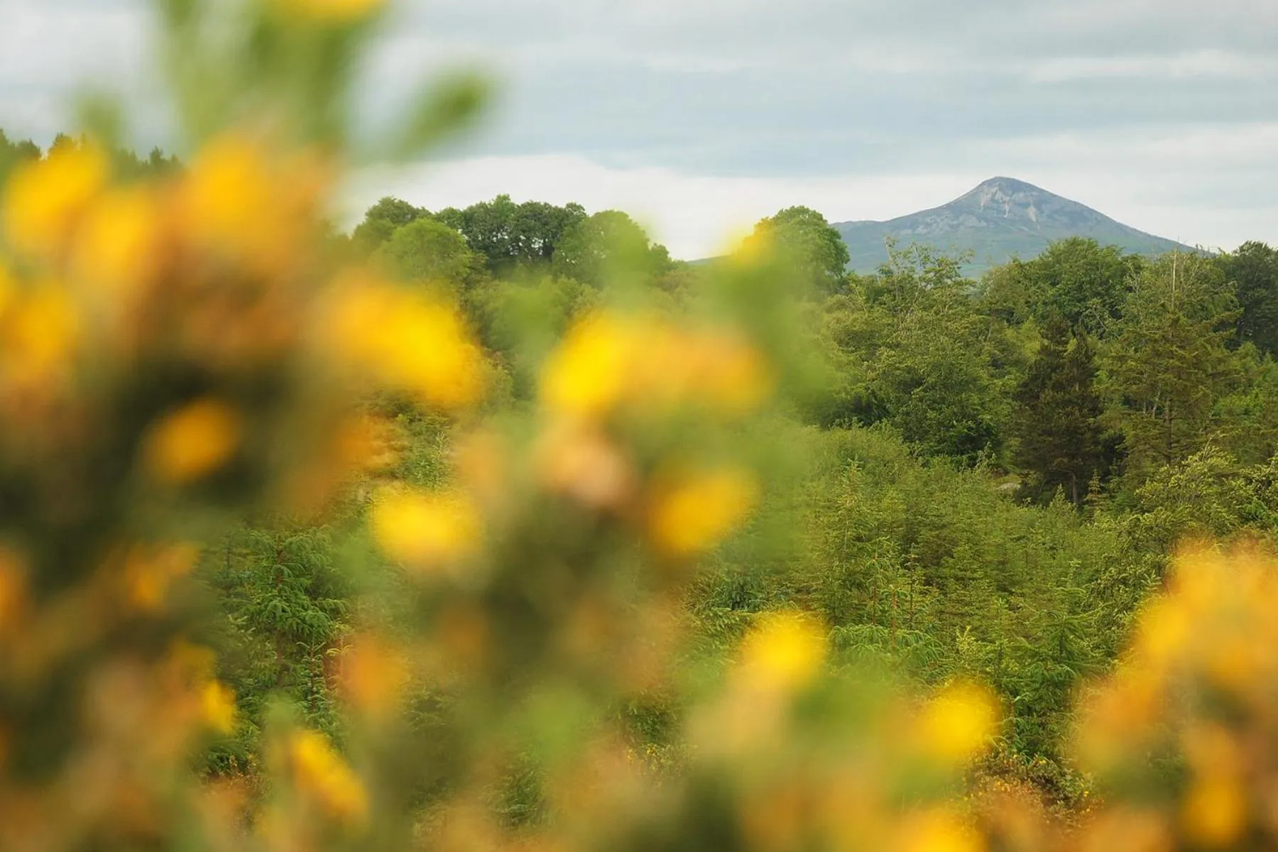 Nearby landmark in Lus Mor