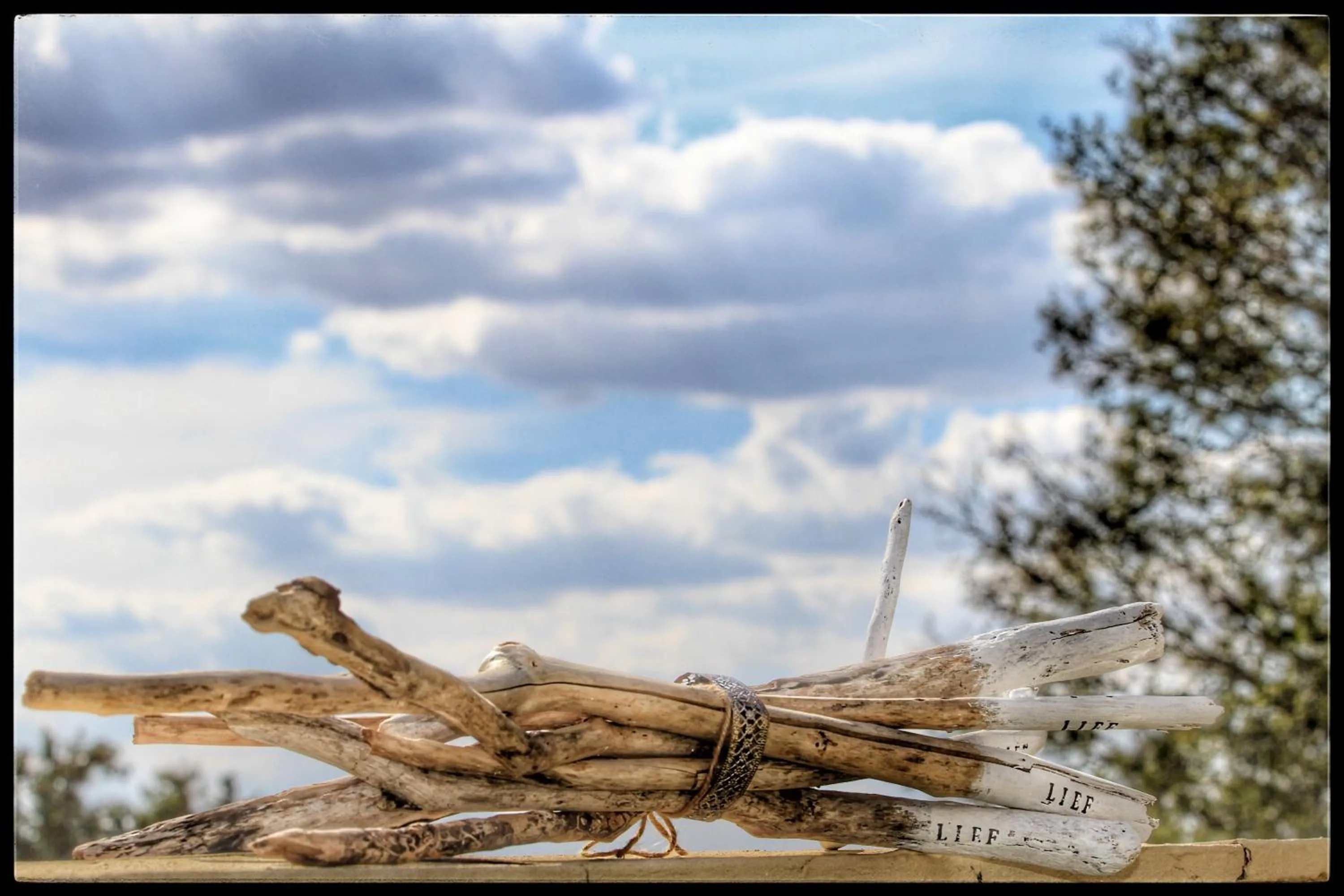 View (from property/room) in Impa-Lala Country Estate