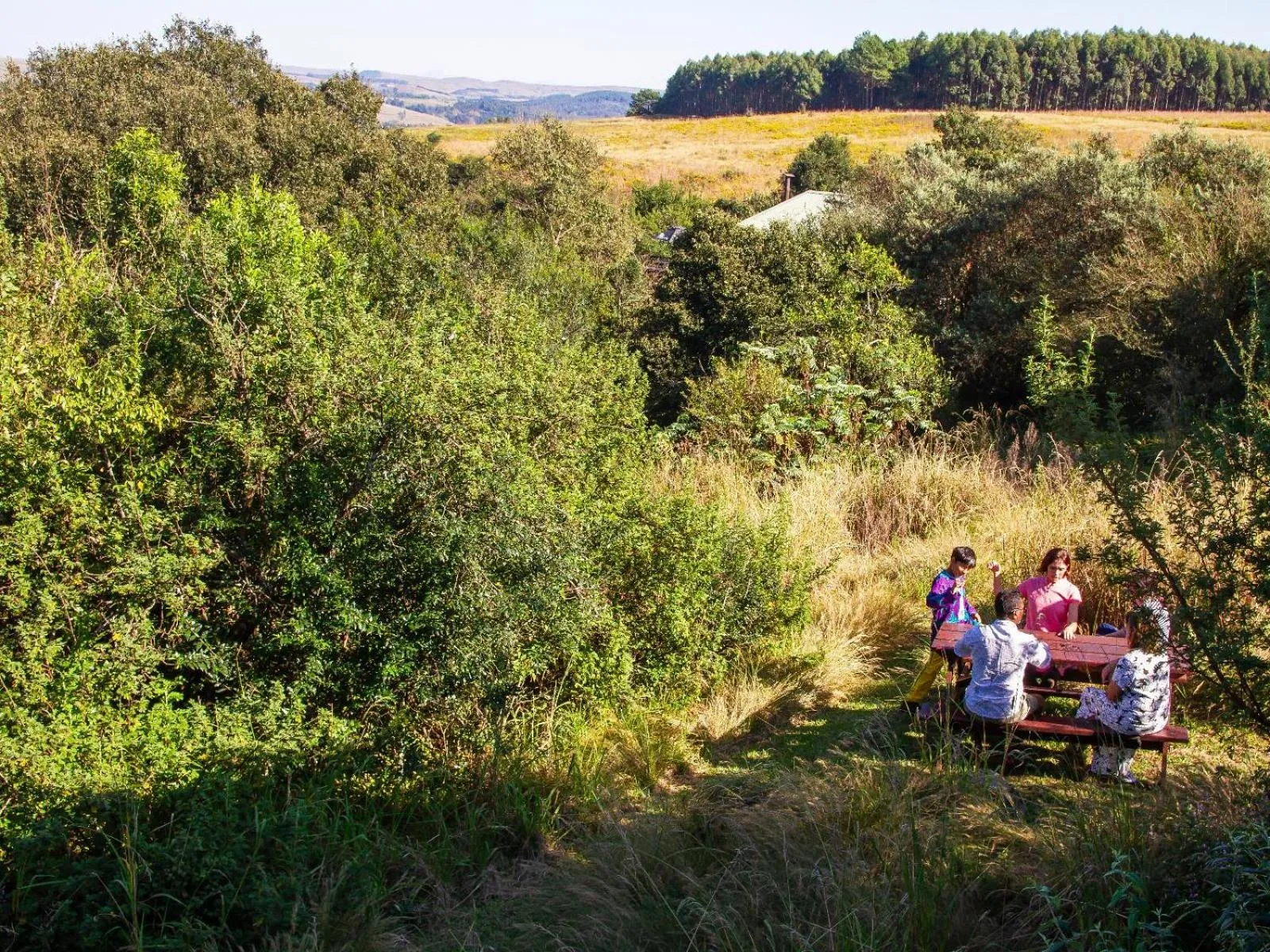 BBQ facilities in Midlands Forest Lodge