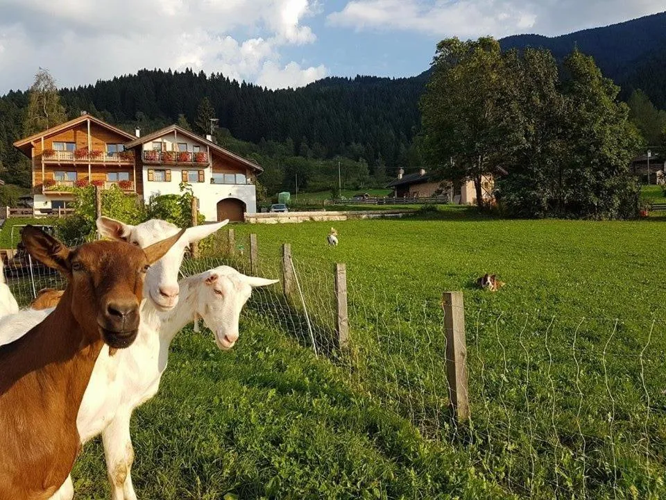 Agritur Maso Piasina