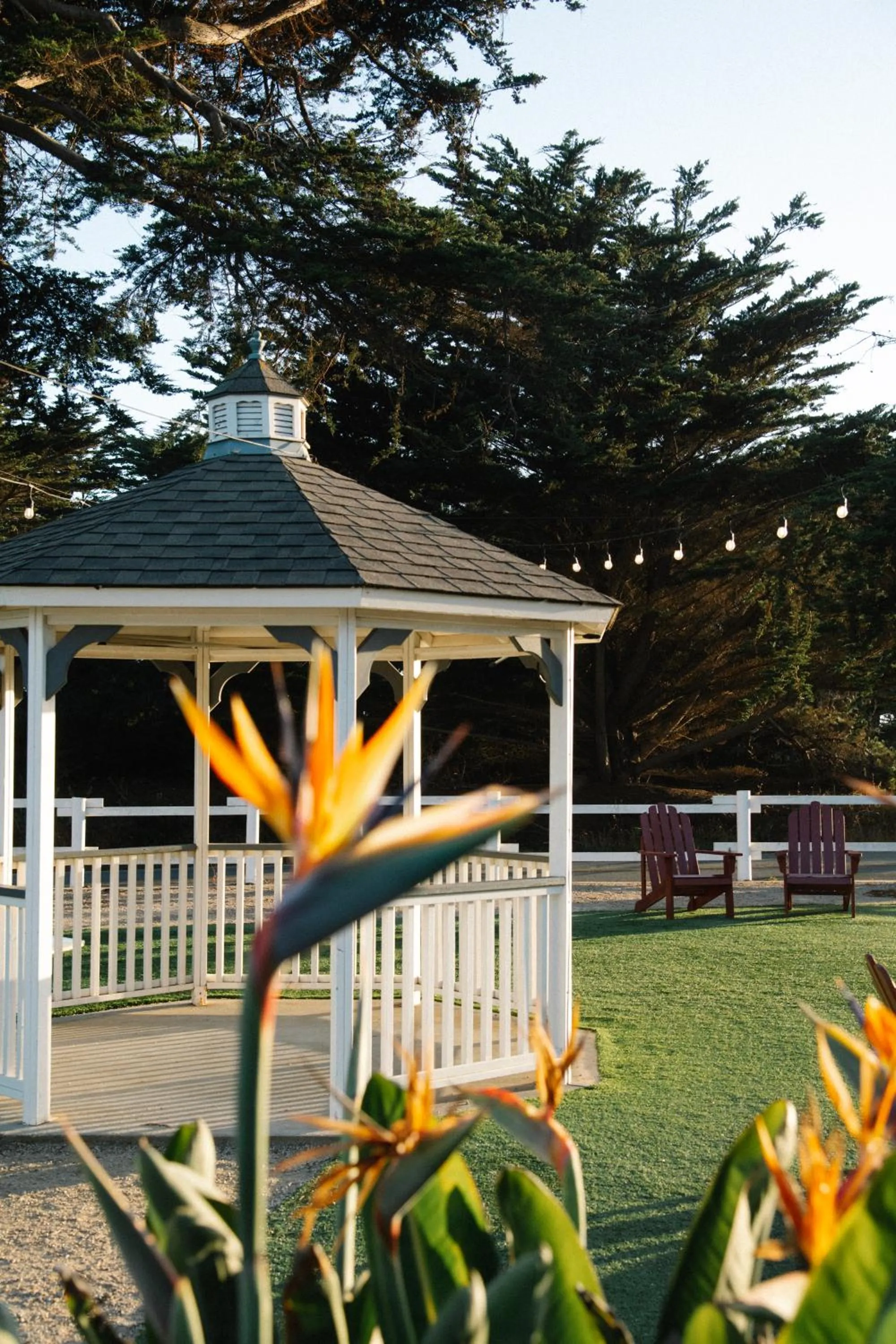 Garden in Oceanpoint Ranch