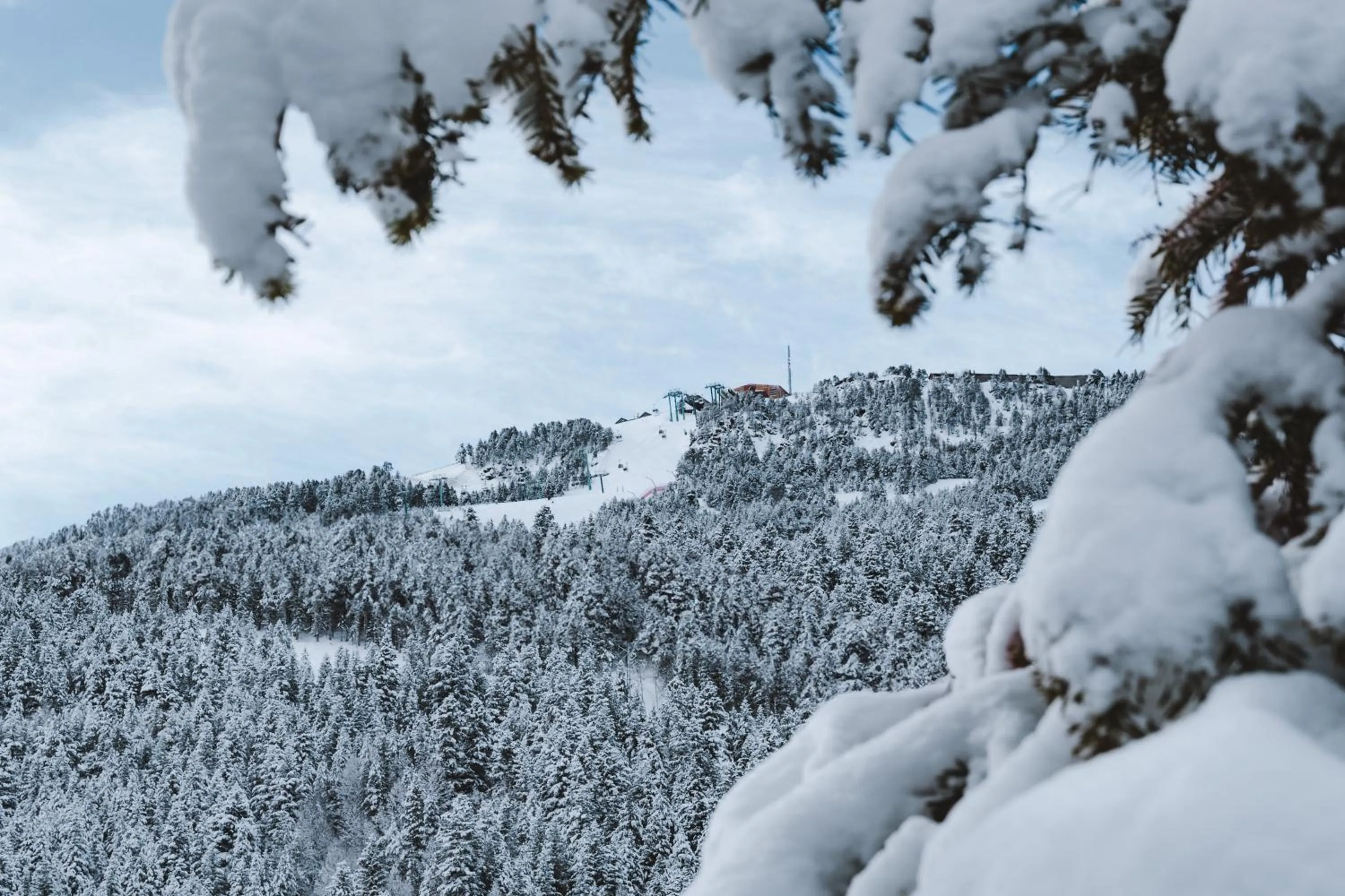 Park Piolets MountainHotel & Spa