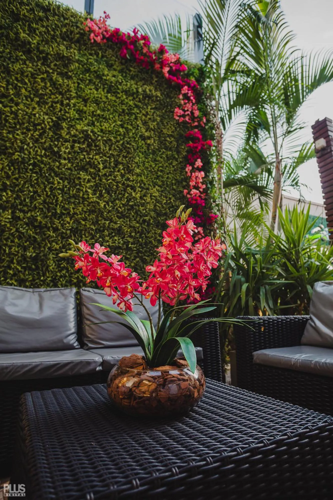 Patio in Hotel Yvera Cataratas