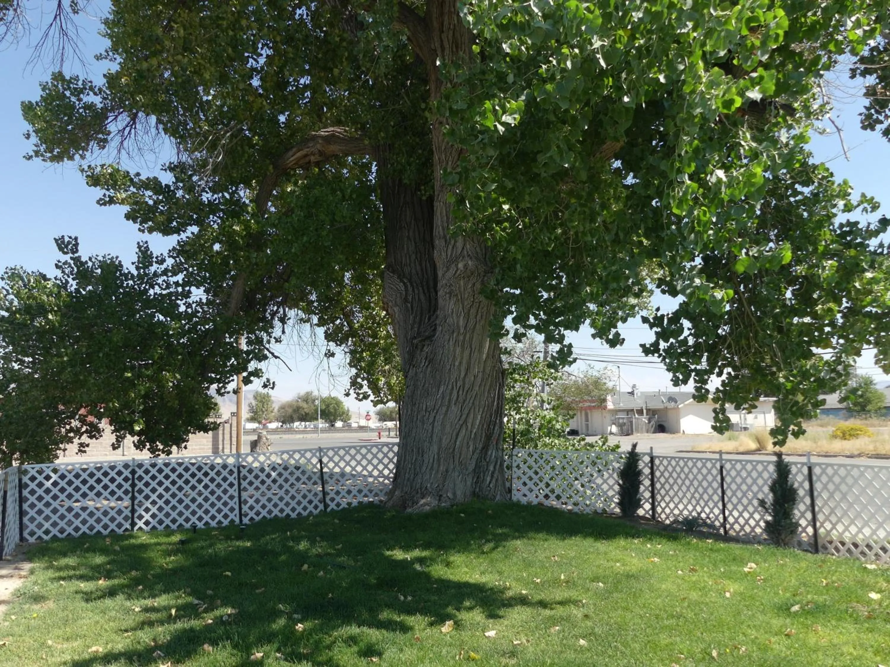 Patio in Big Chief Motel