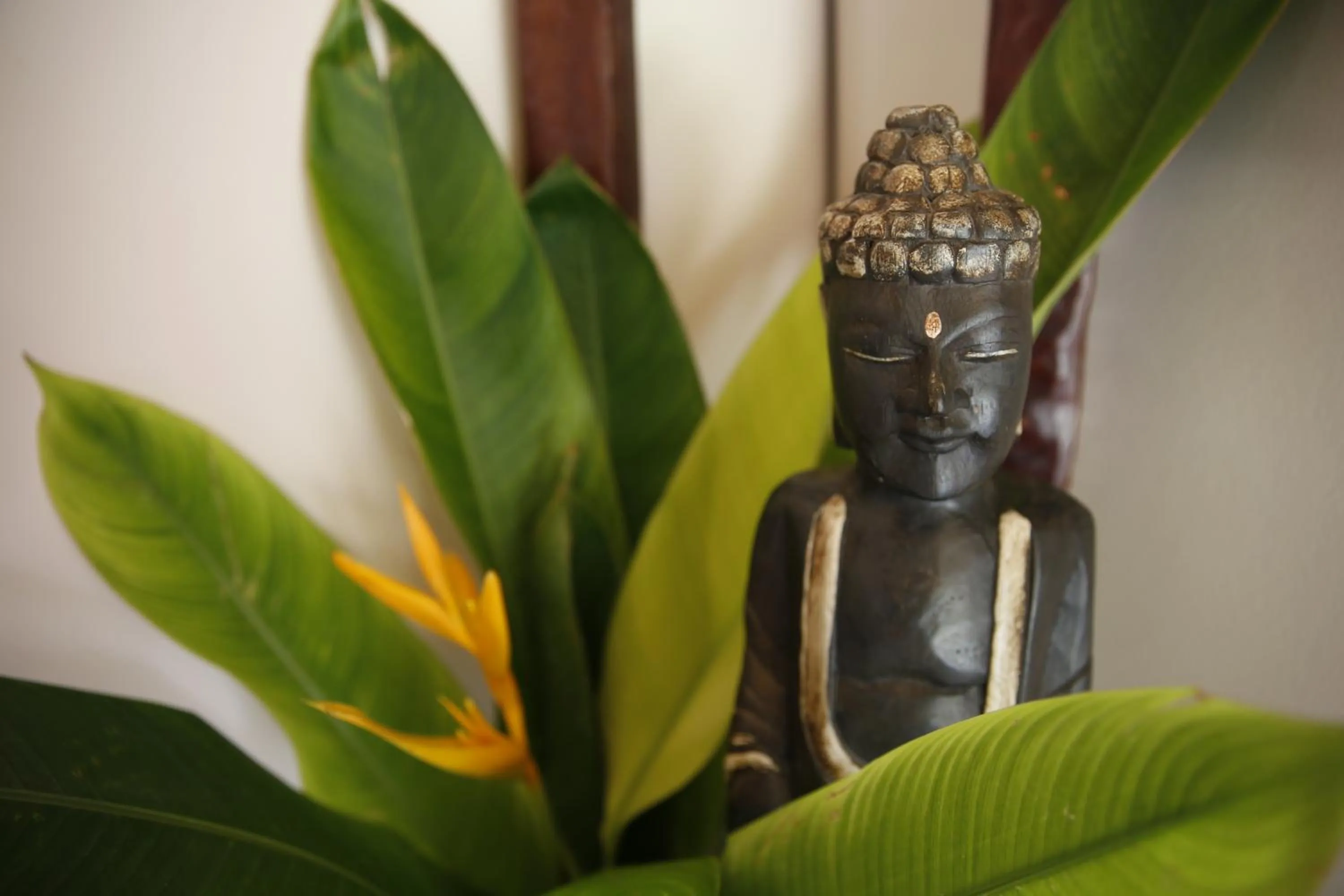 Day in Samana Villas