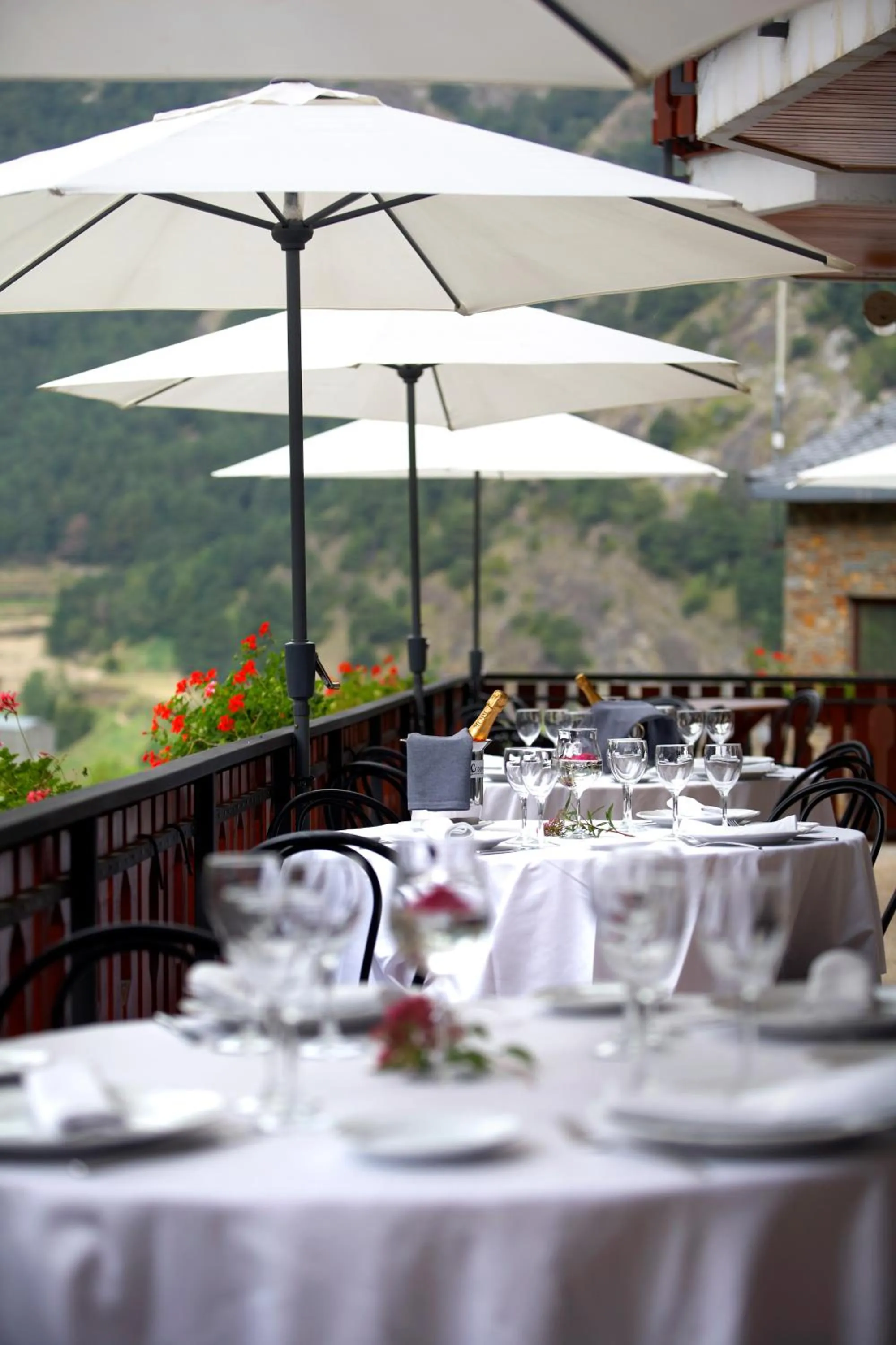 Restaurant/places to eat in Hotel Coma