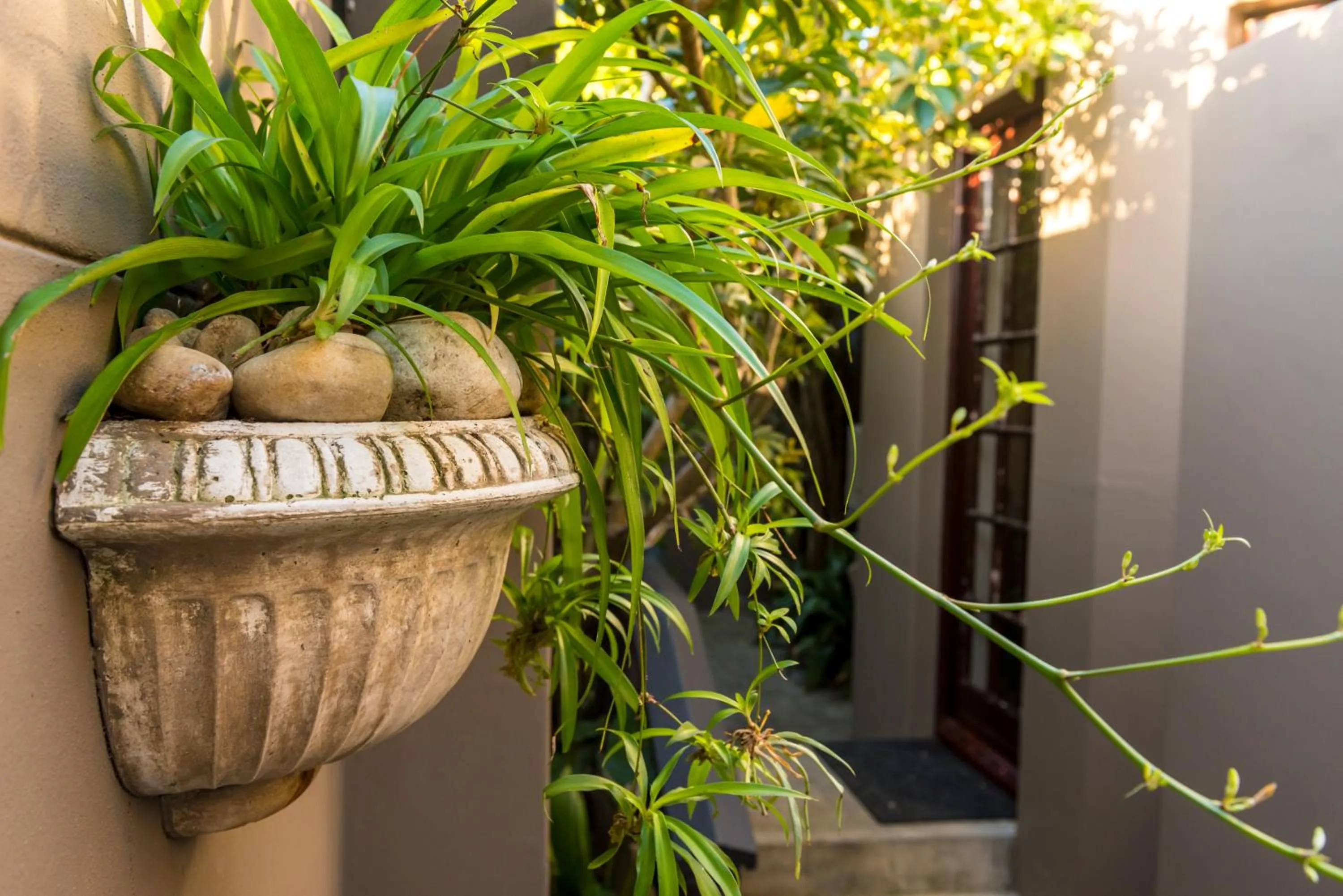 Garden in Kingfisher GuestHouse