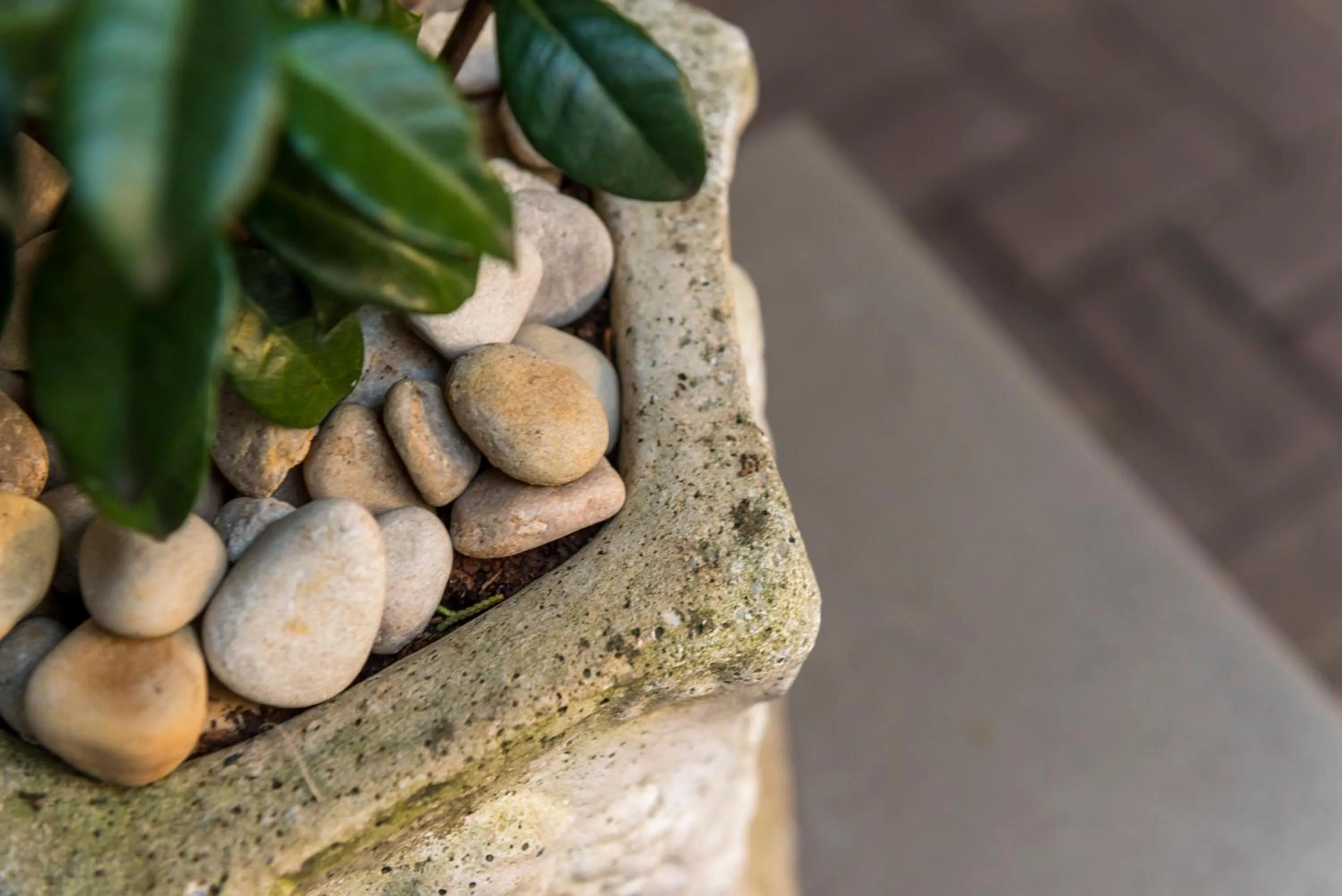 Decorative detail in Kingfisher GuestHouse