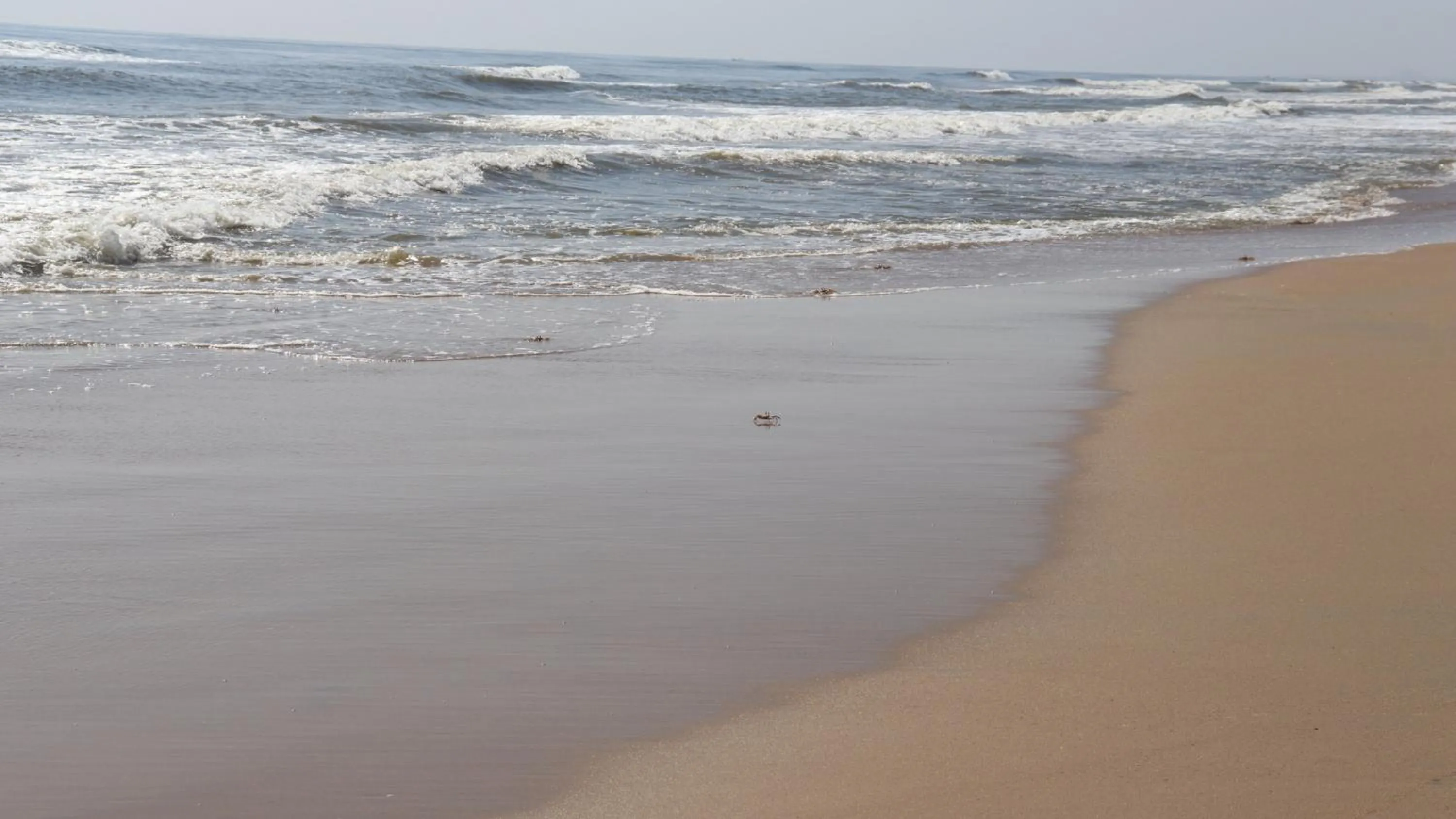 Nearby landmark in Holiday Inn Express Chennai OMR Thoraipakkam by IHG