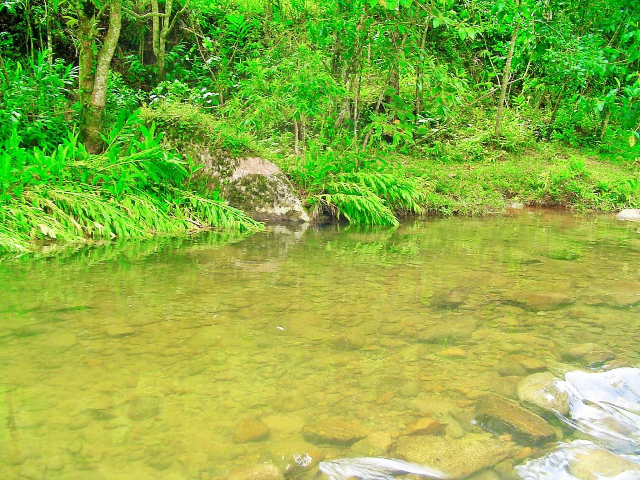 Natural landscape in Casa Dell Angelo Apartamentos