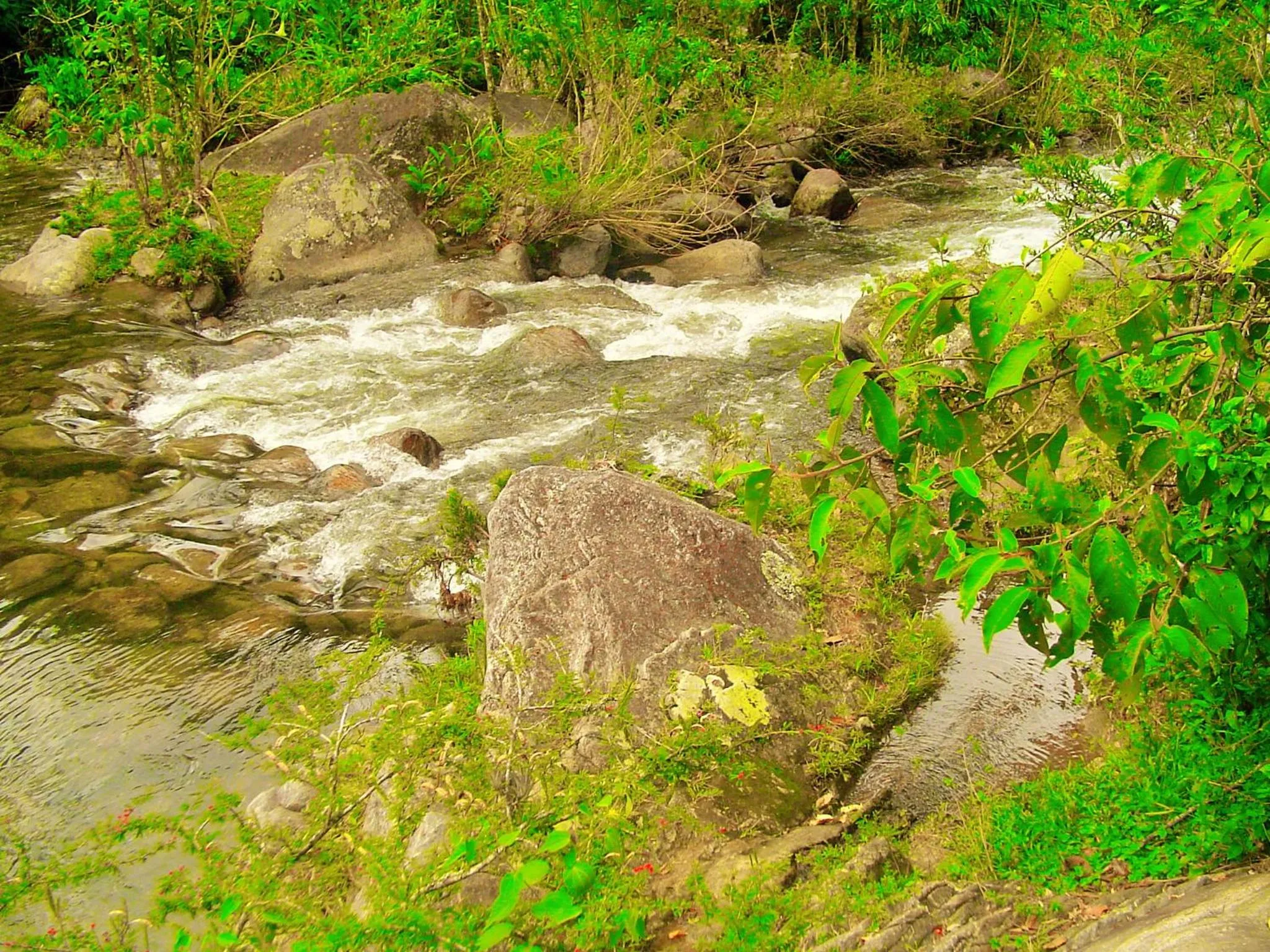 Natural landscape in Casa Dell Angelo Apartamentos