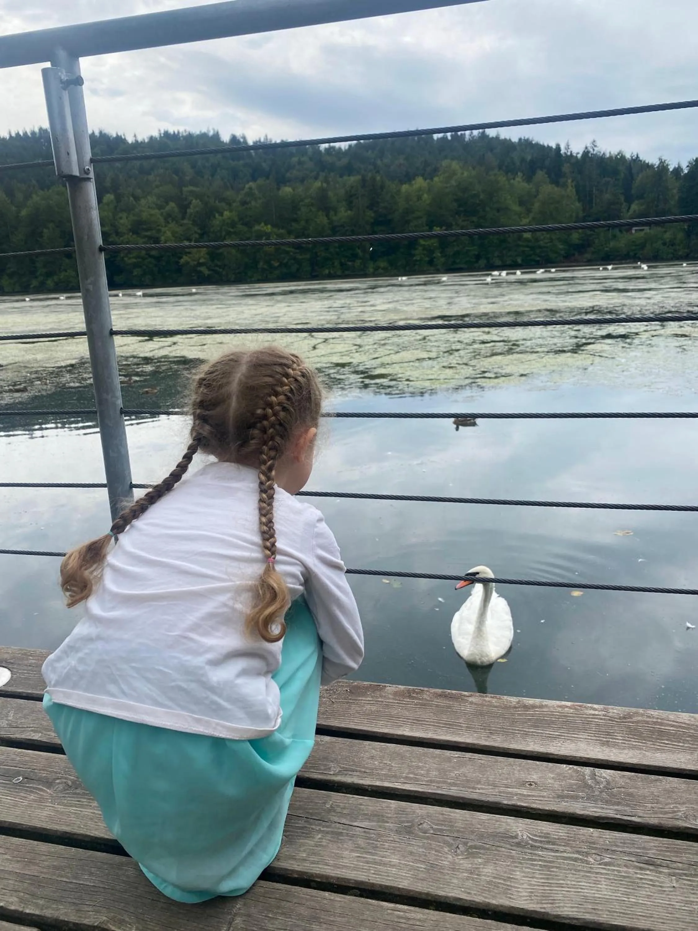 Natural landscape in Boutique hotel ZBILJE