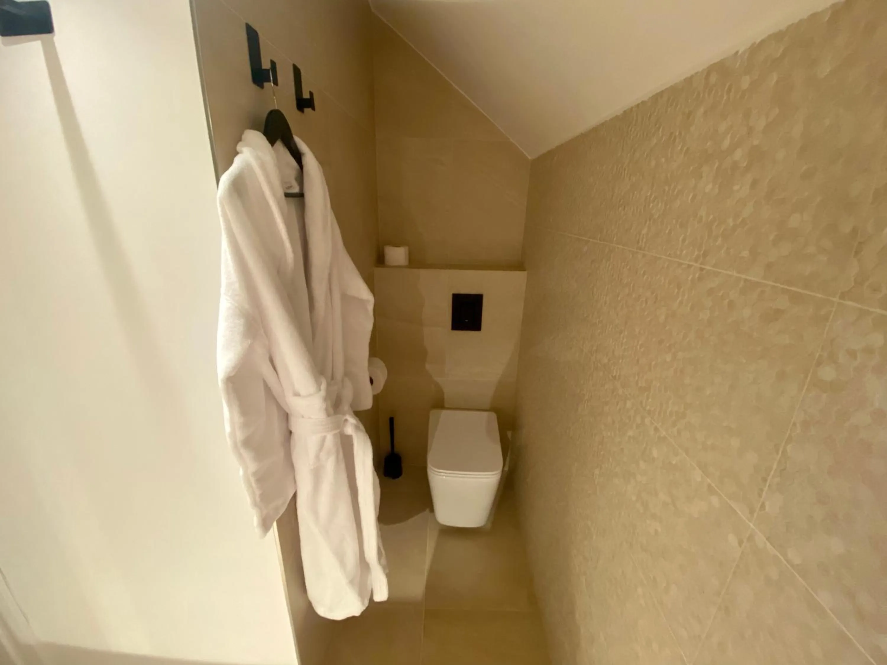 Toilet in Boutique hotel ZBILJE