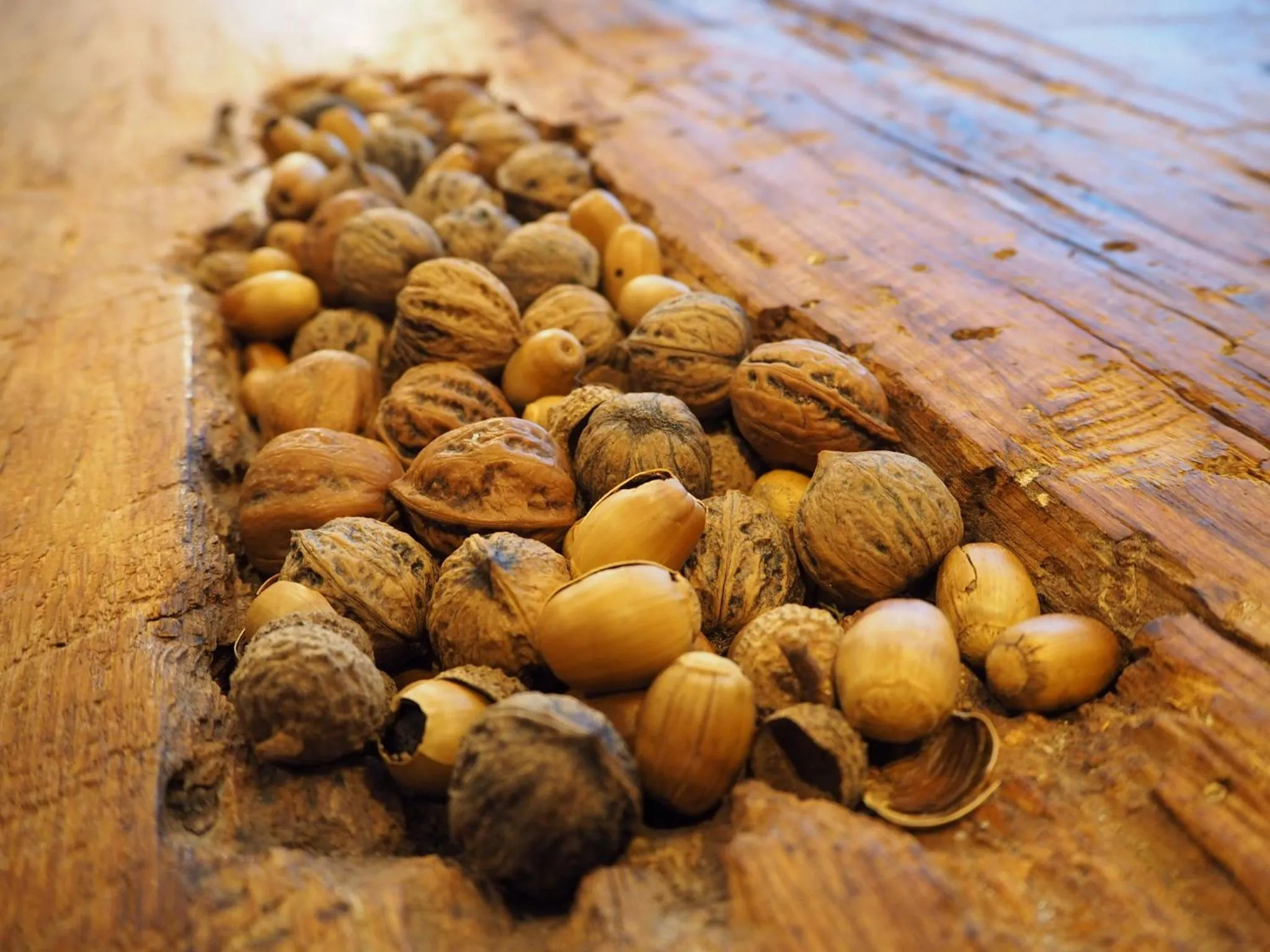 Other in Hotel Nupka