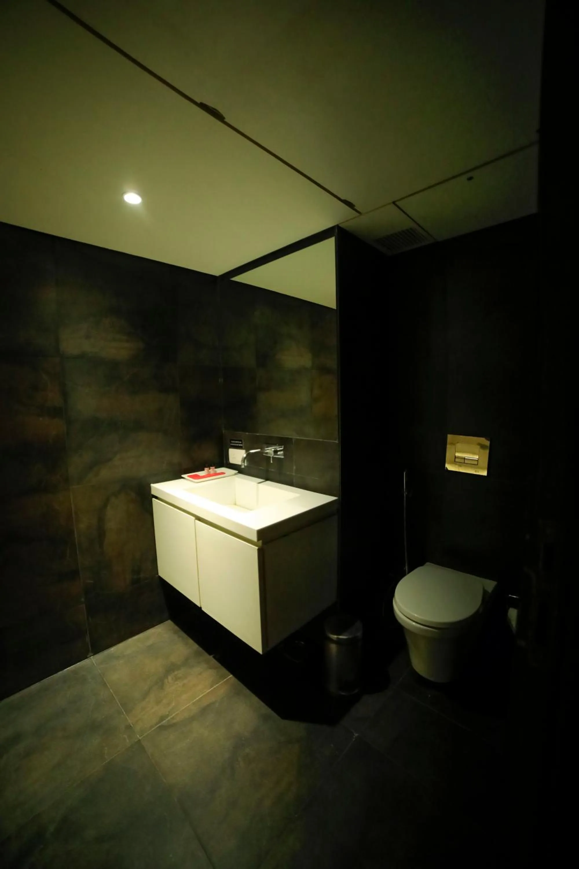 Toilet in Hotel German Palace Near to Airport