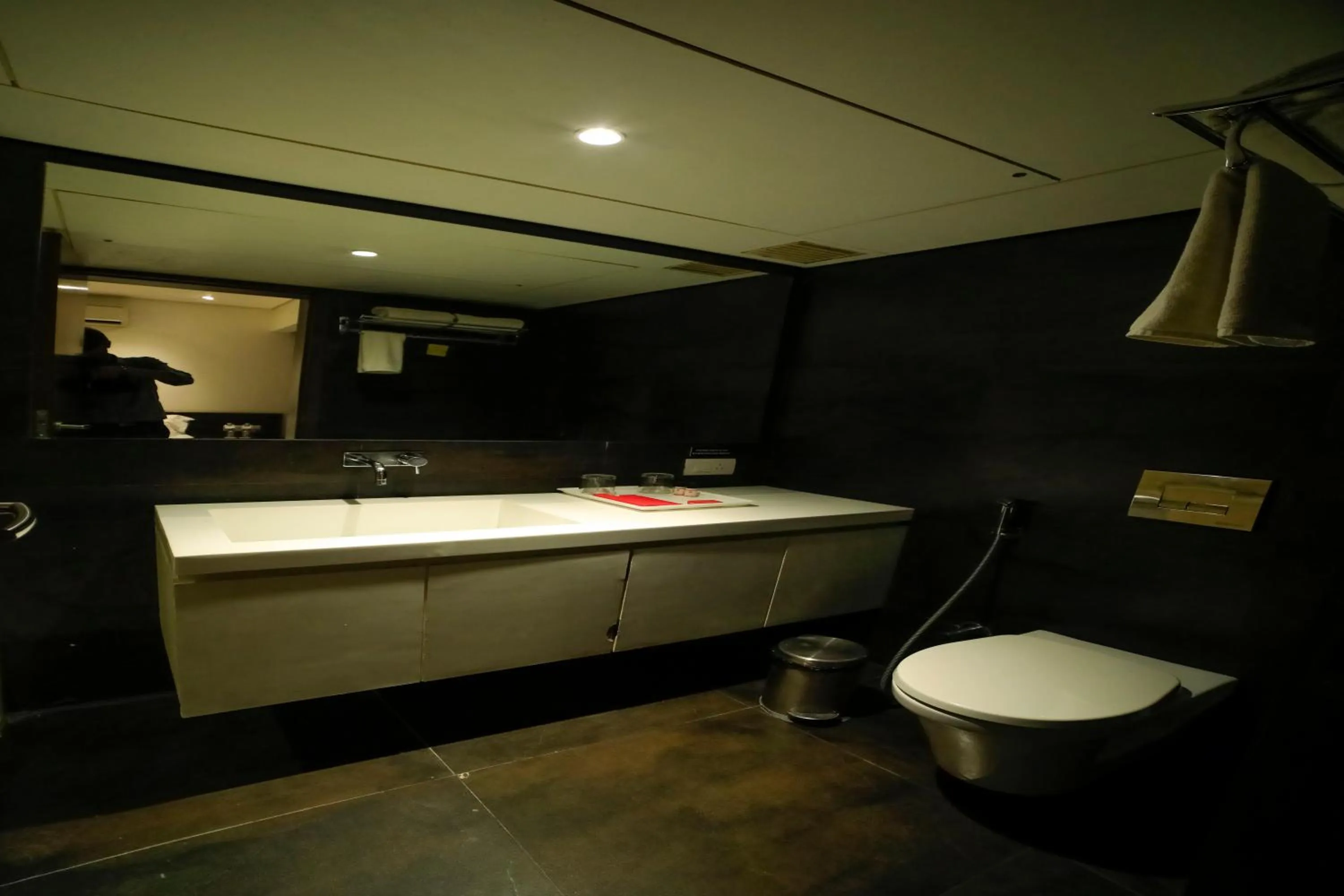 Shower in Hotel German Palace Near to Airport