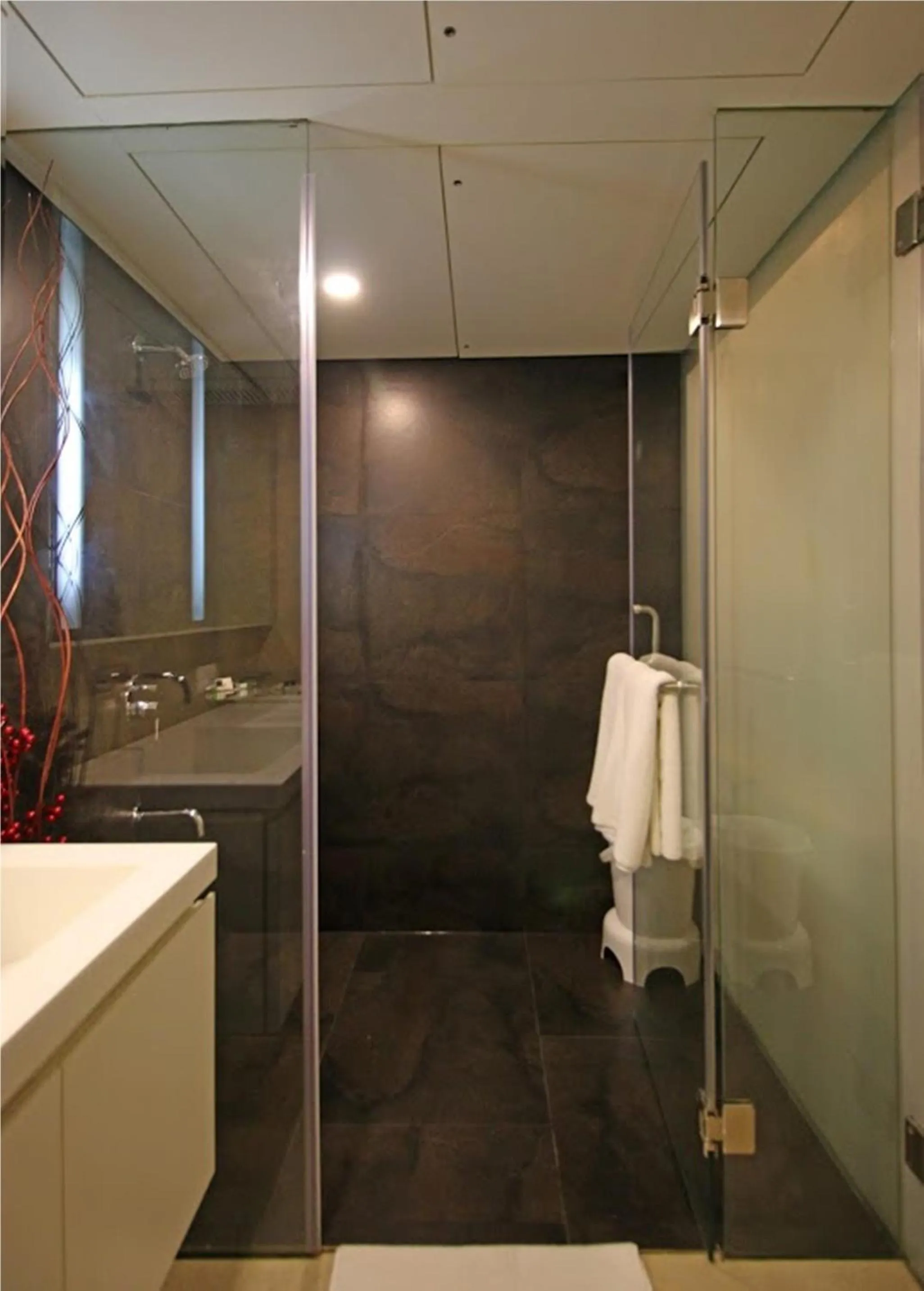 Shower in Hotel German Palace Near to Airport