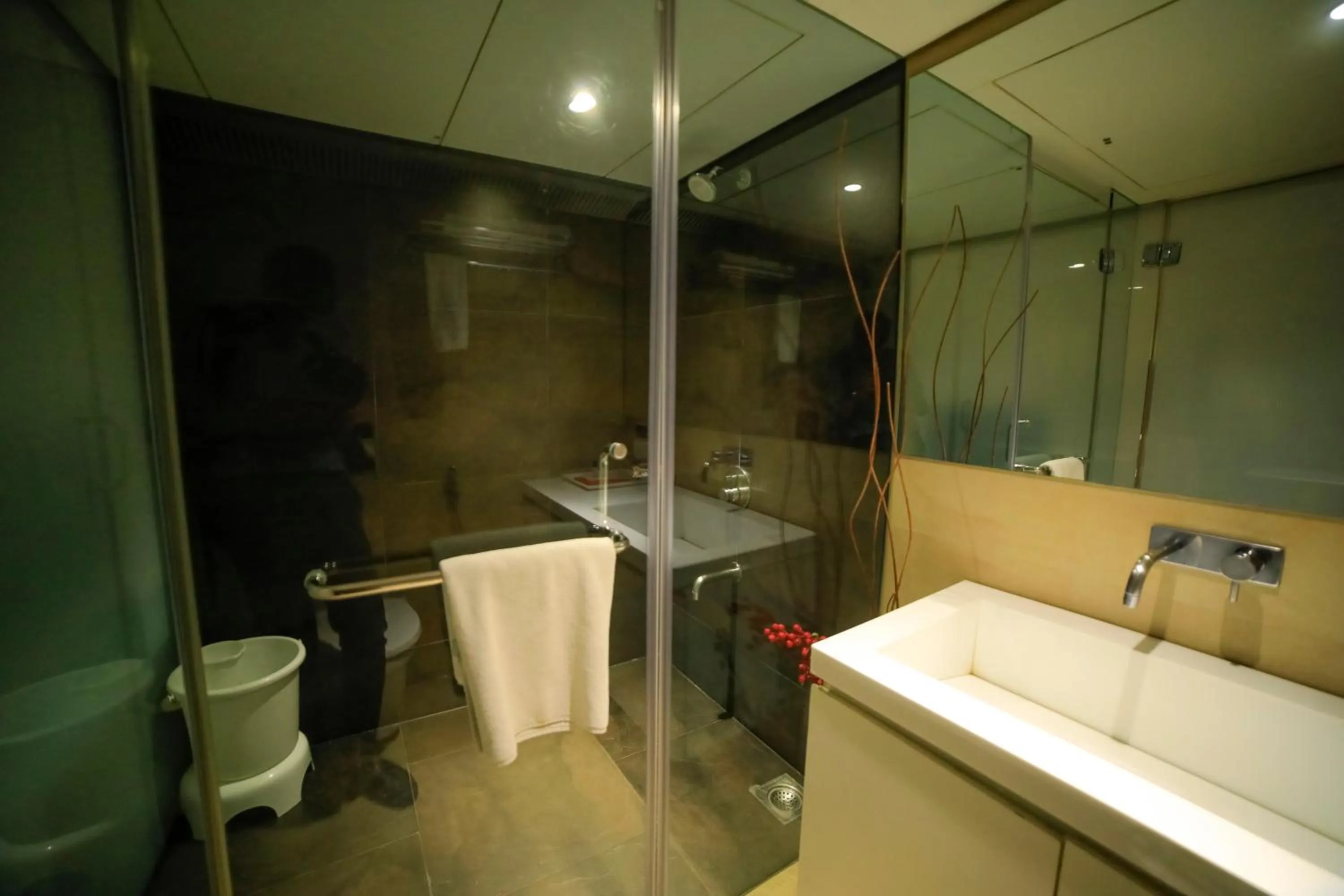 Shower in Hotel German Palace Near to Airport