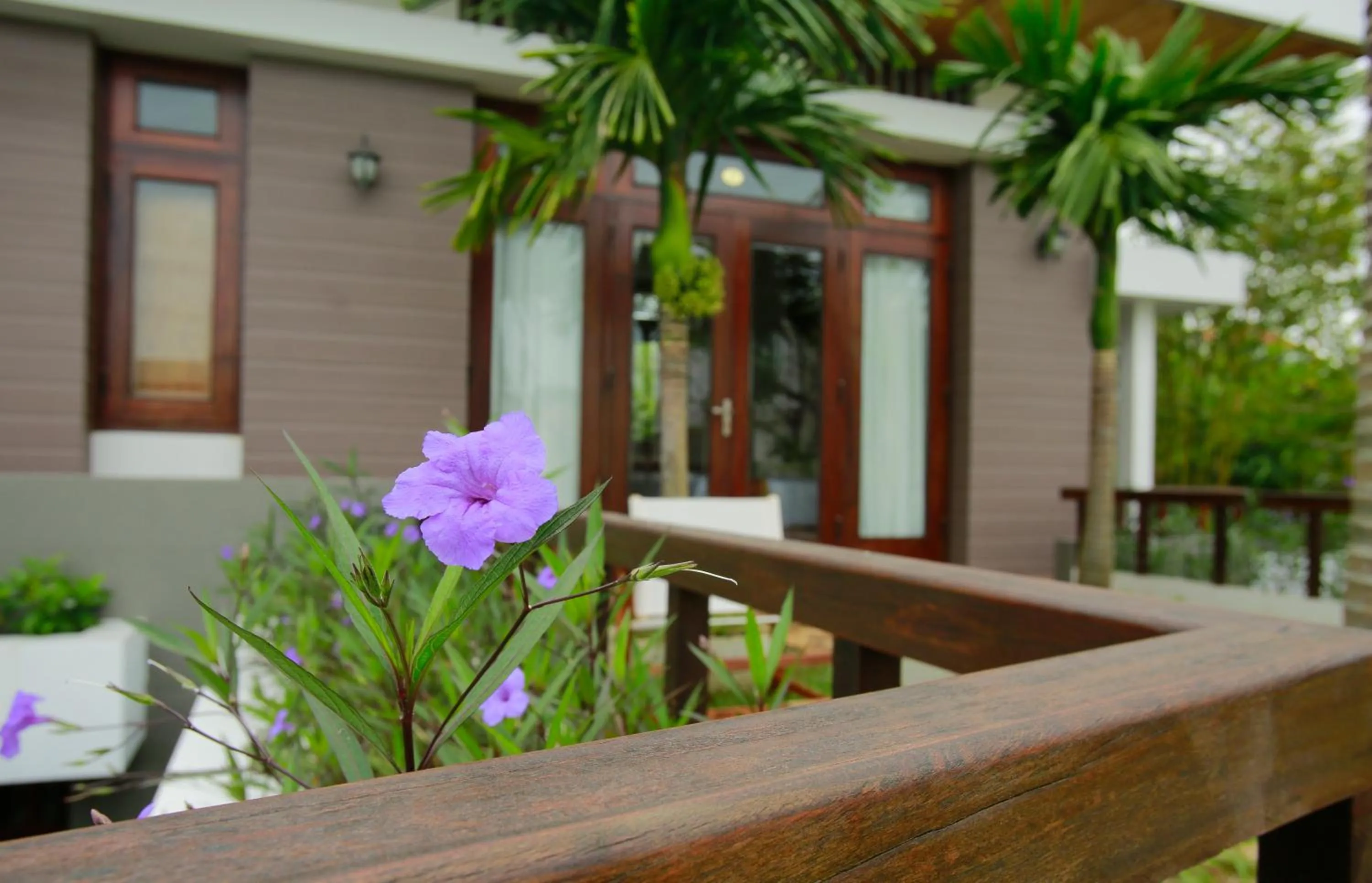 Property building in Hanging Garden Hoi An