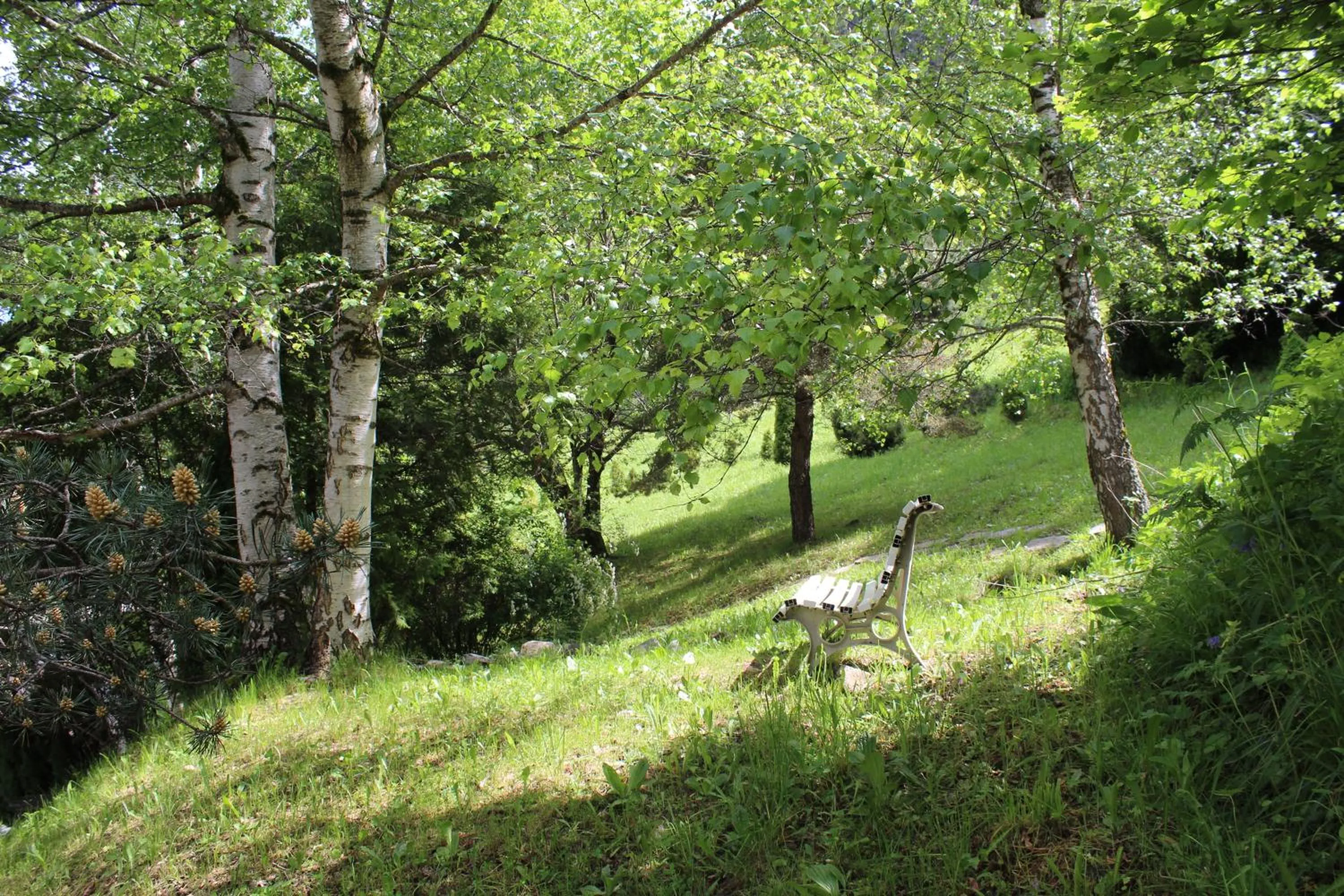 Natural landscape in Hotel Sant Gothard by Nexta