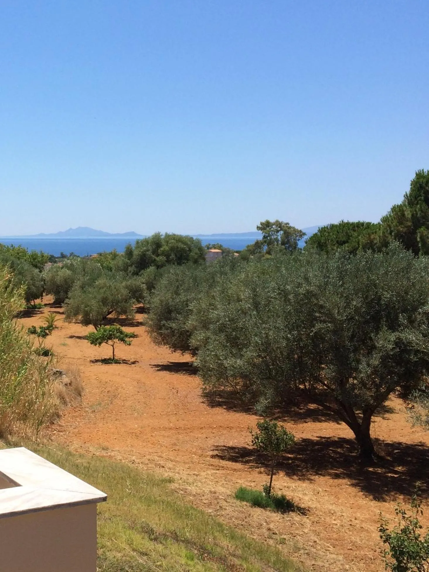Garden view in Koukounaries Studios
