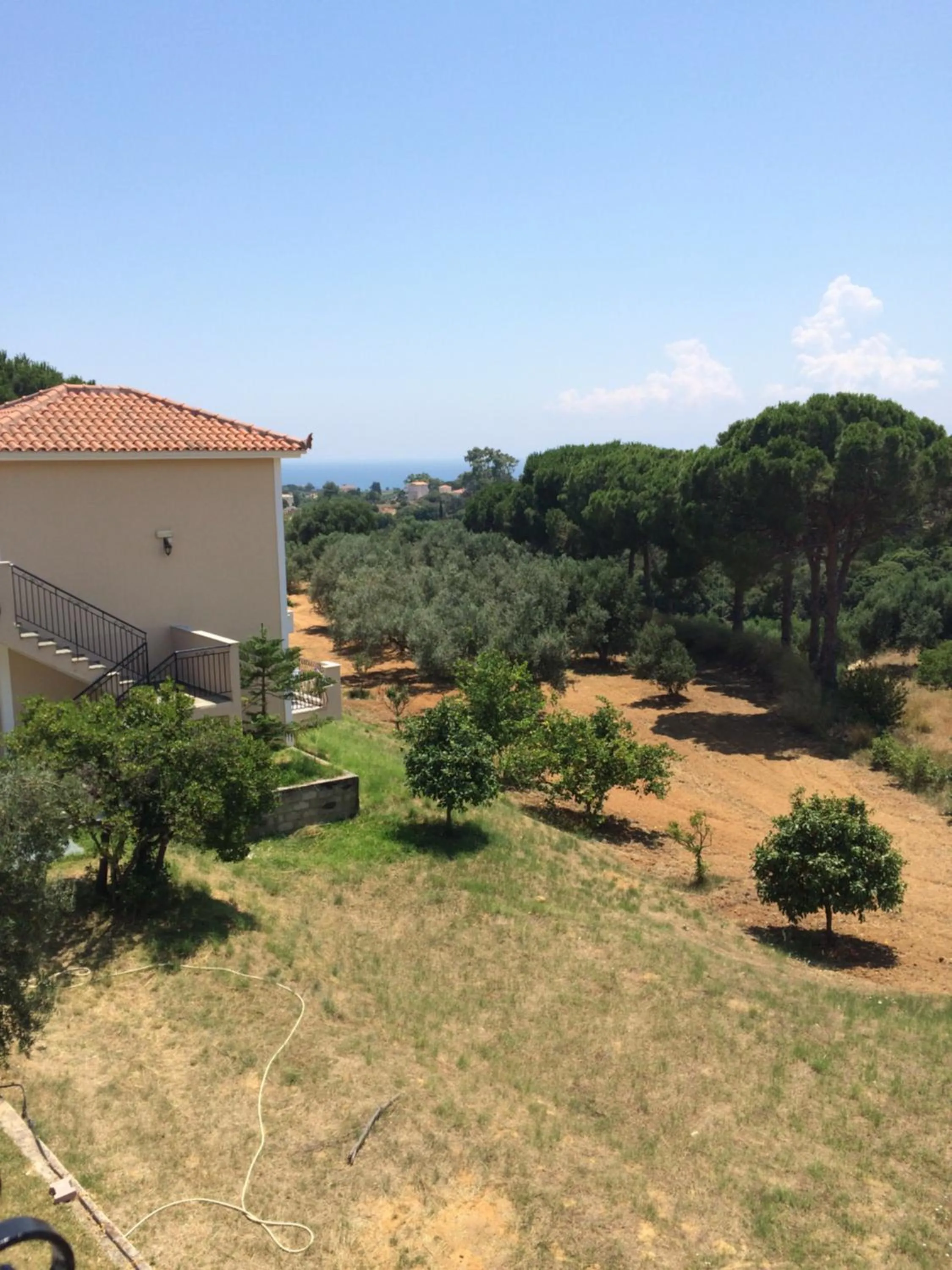 Garden view in Koukounaries Studios
