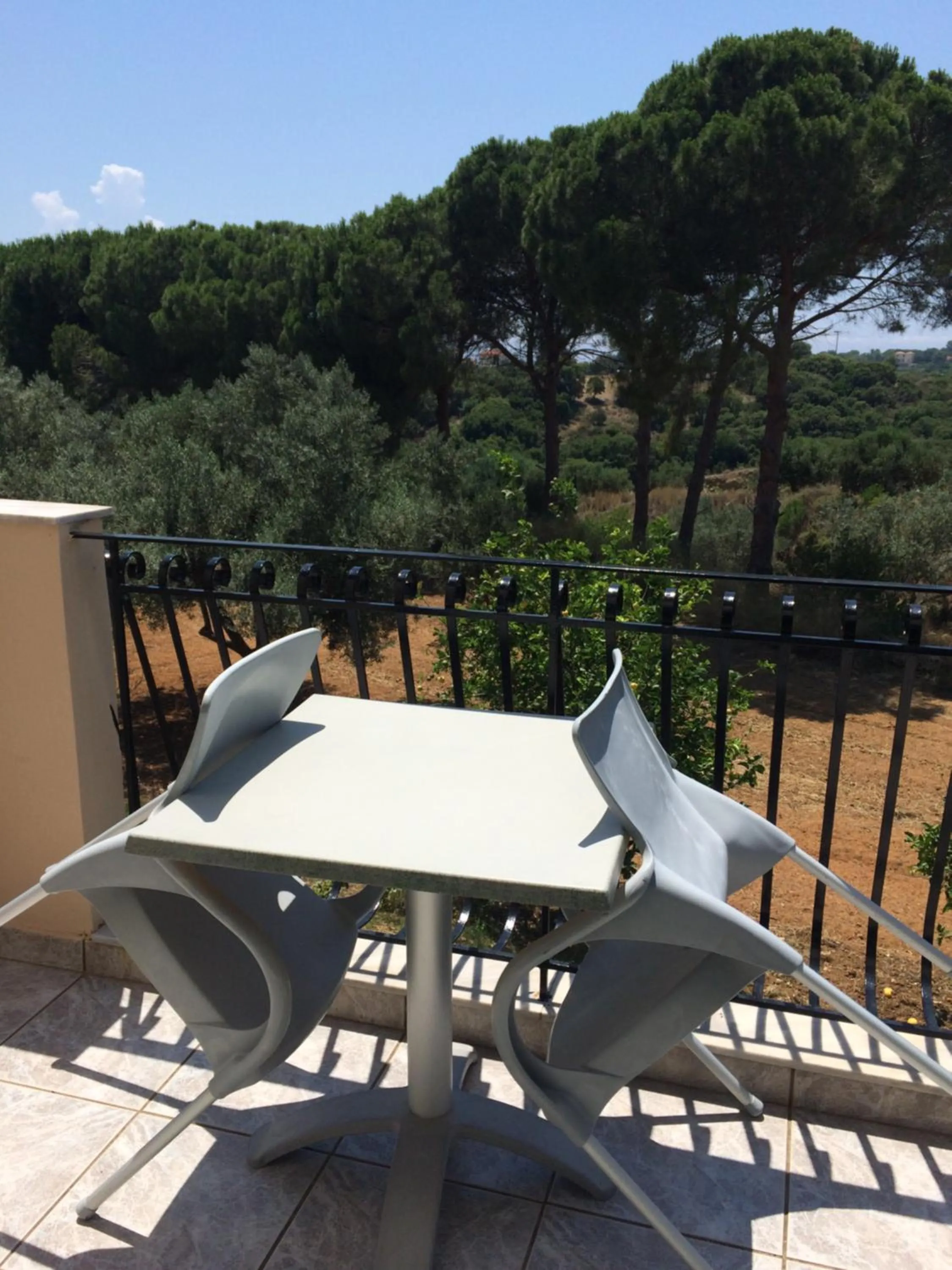 Balcony/Terrace in Koukounaries Studios